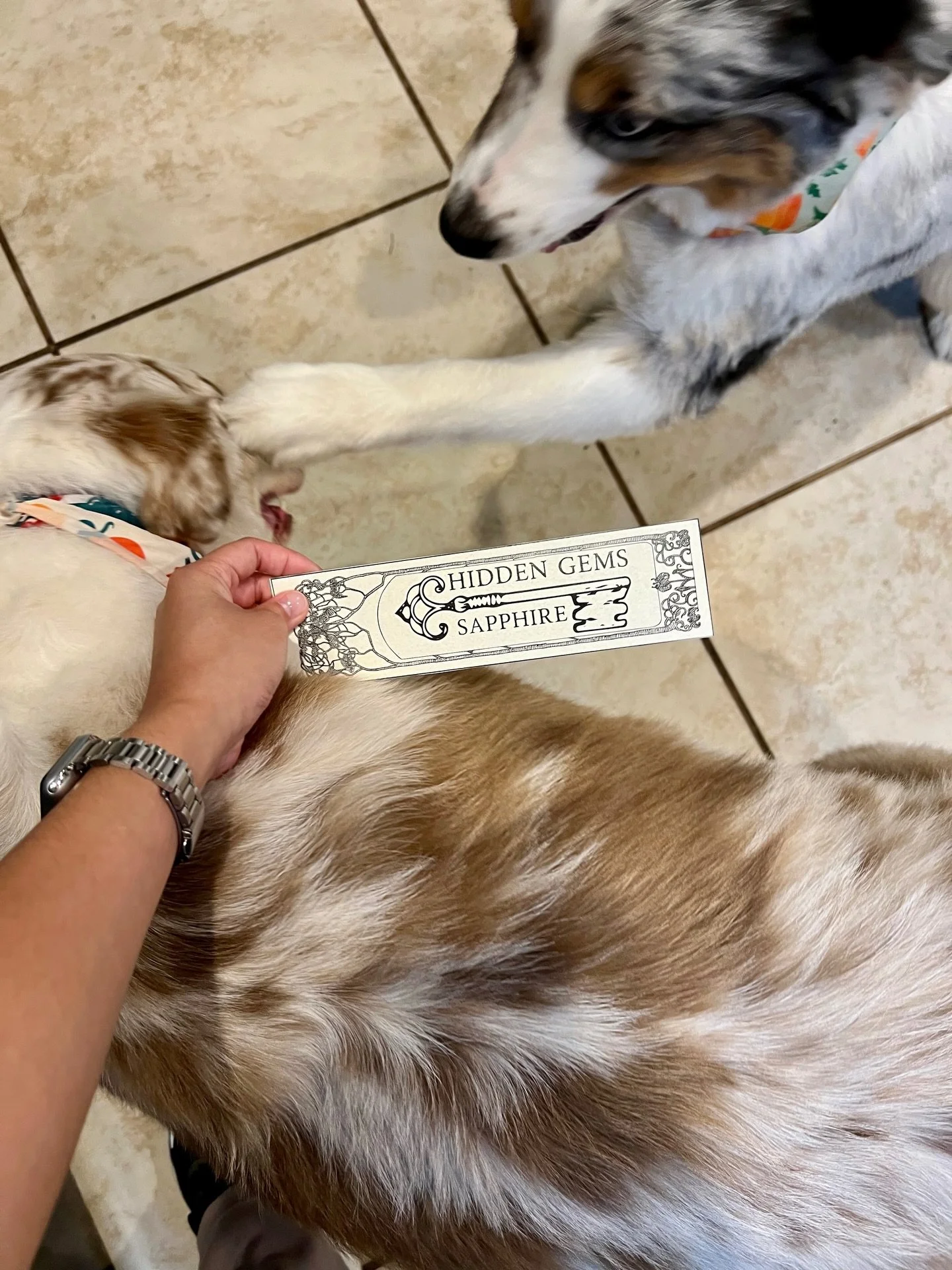 Quality control in progress... making sure every gem is just right. 💎📖🐶

#HiddenGemsBookSeries #HiddenGemsSapphire