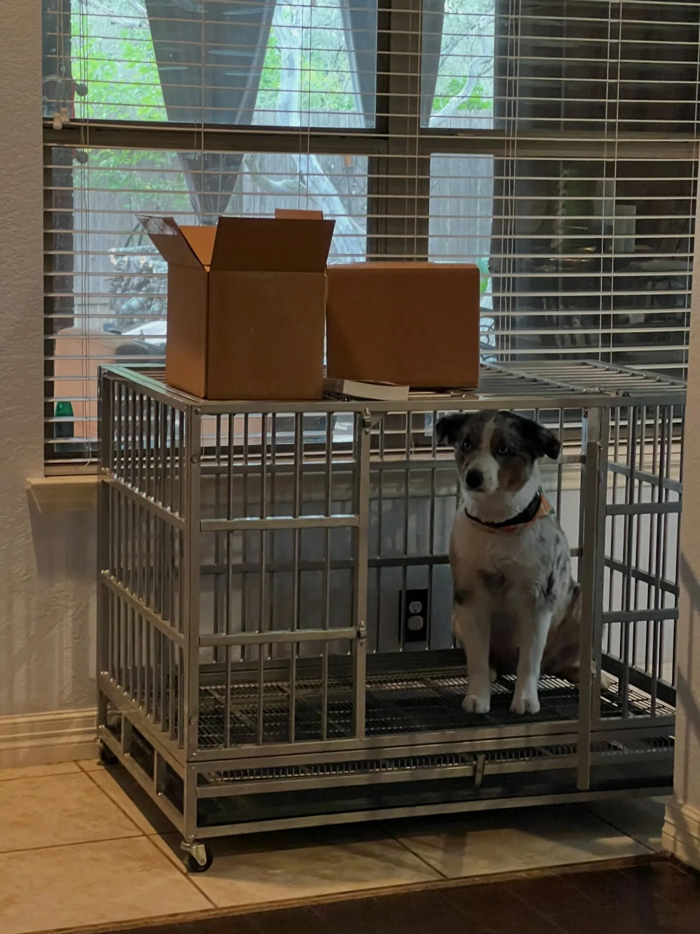 Jeter must be protecting something important in these boxes... 💎💙

#HiddenGemsBookSeries #HiddenGemsSapphire