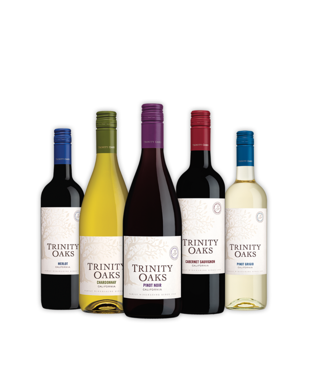 EPICO Website Image (22).png