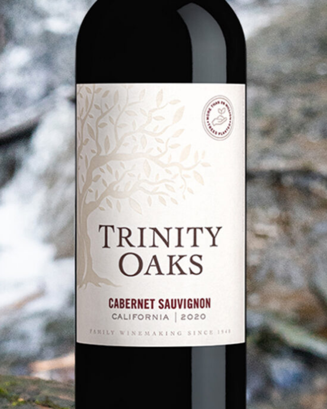 EPICO Website Image (20).png