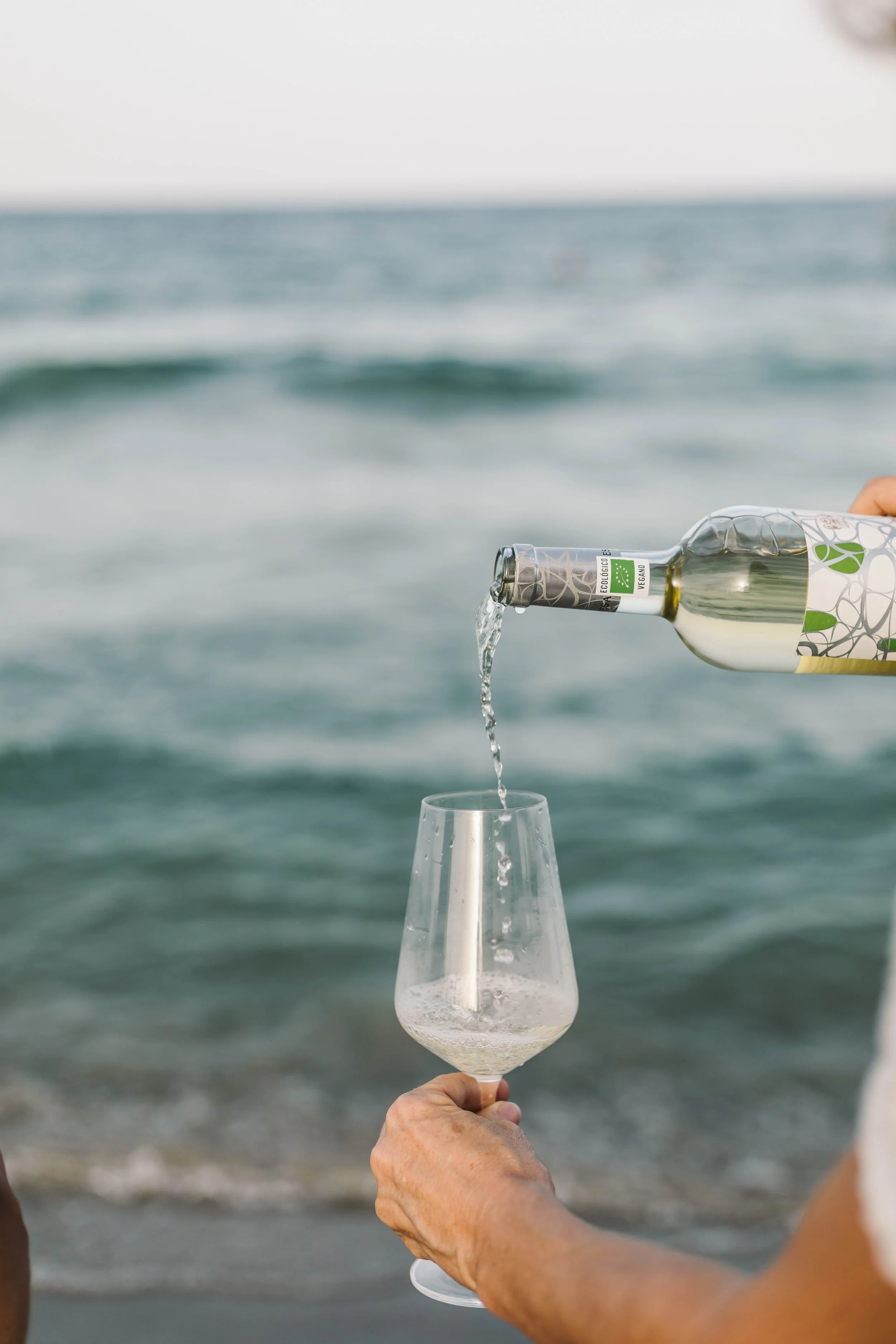 Petalos Aresan blanc 2023 (2).jpeg