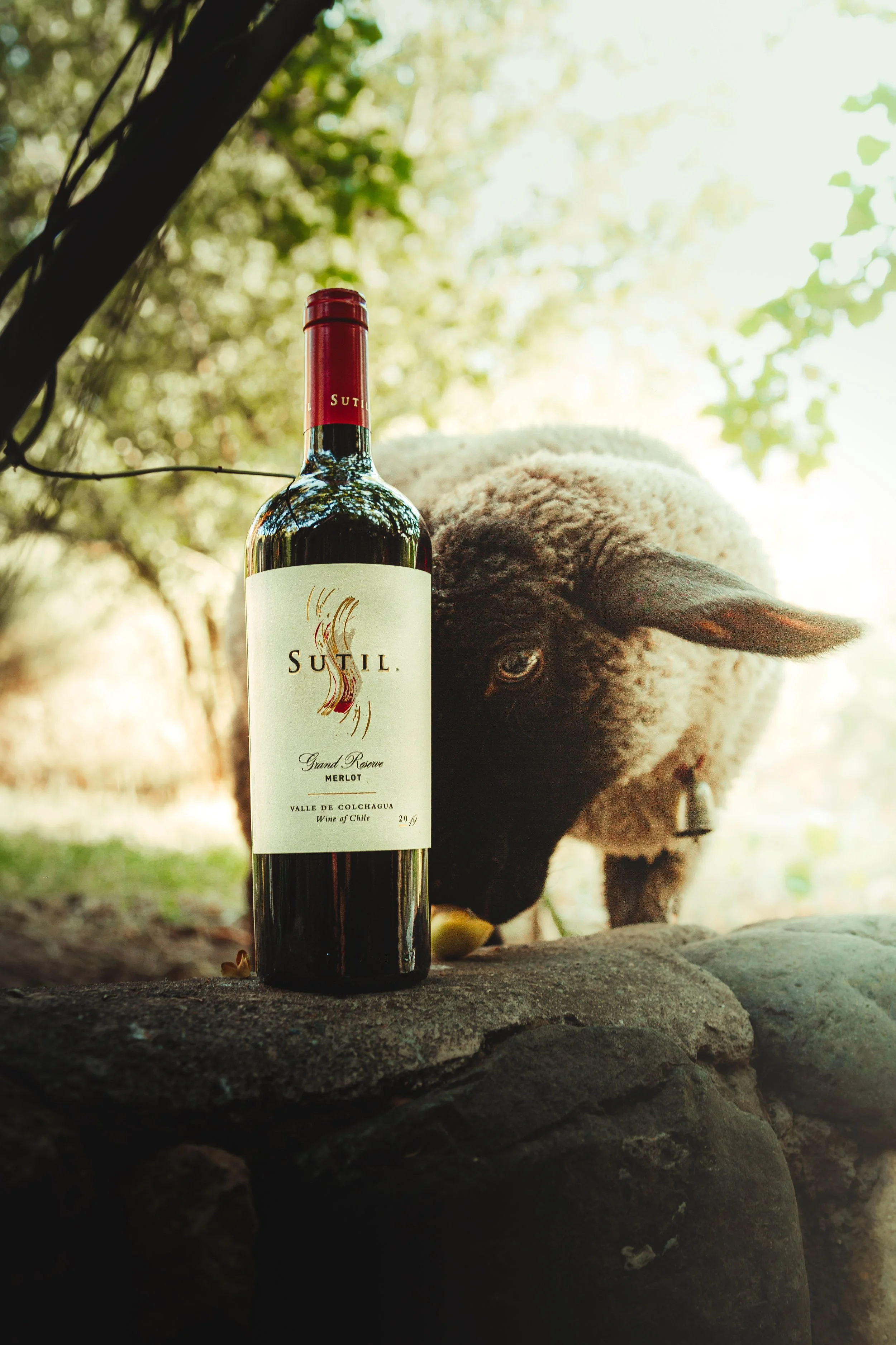 Lifestyle_Sutil GR.JPG