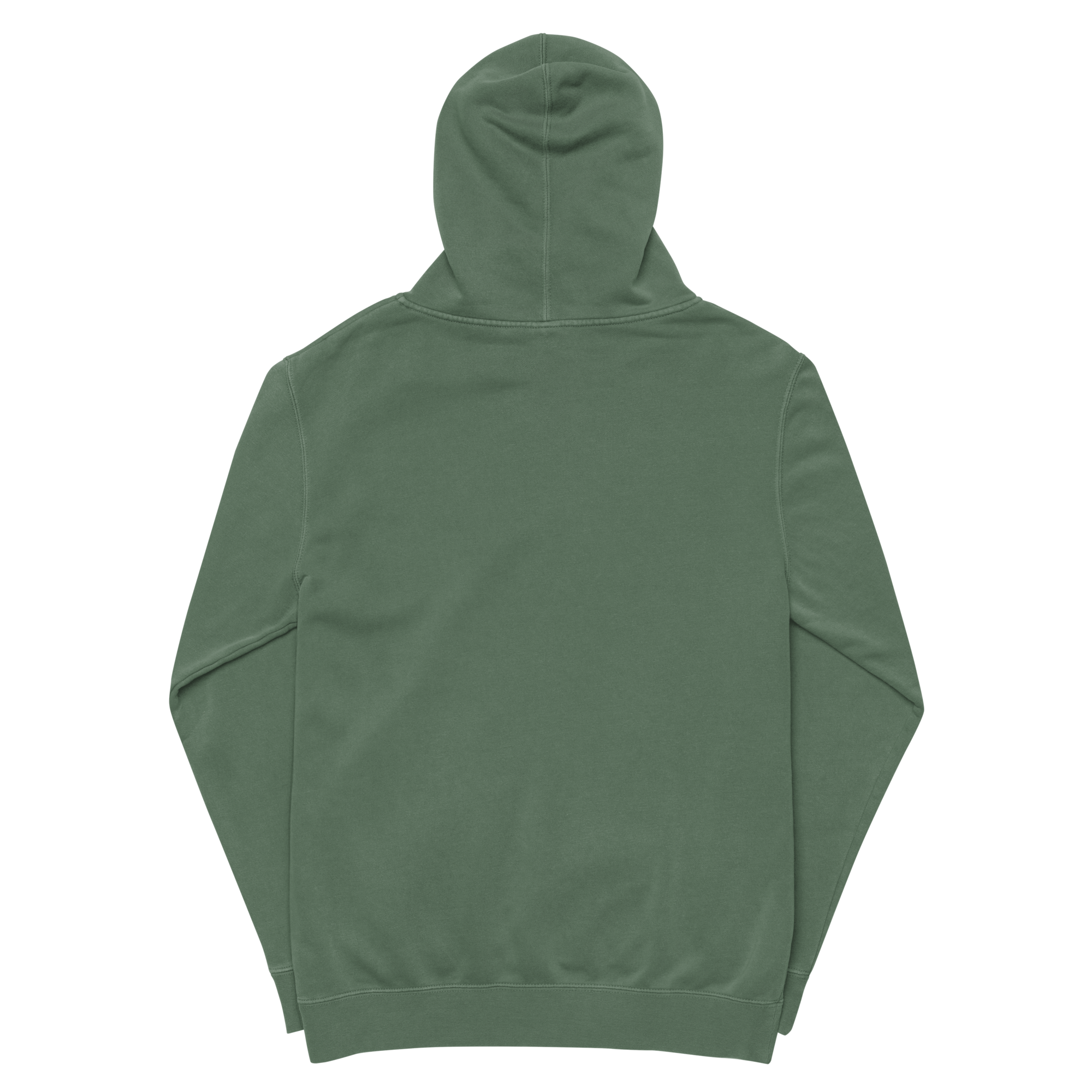 unisex-pigment-dyed-hoodie-pigment-alpine-green-back-6abc19acc18b3.png