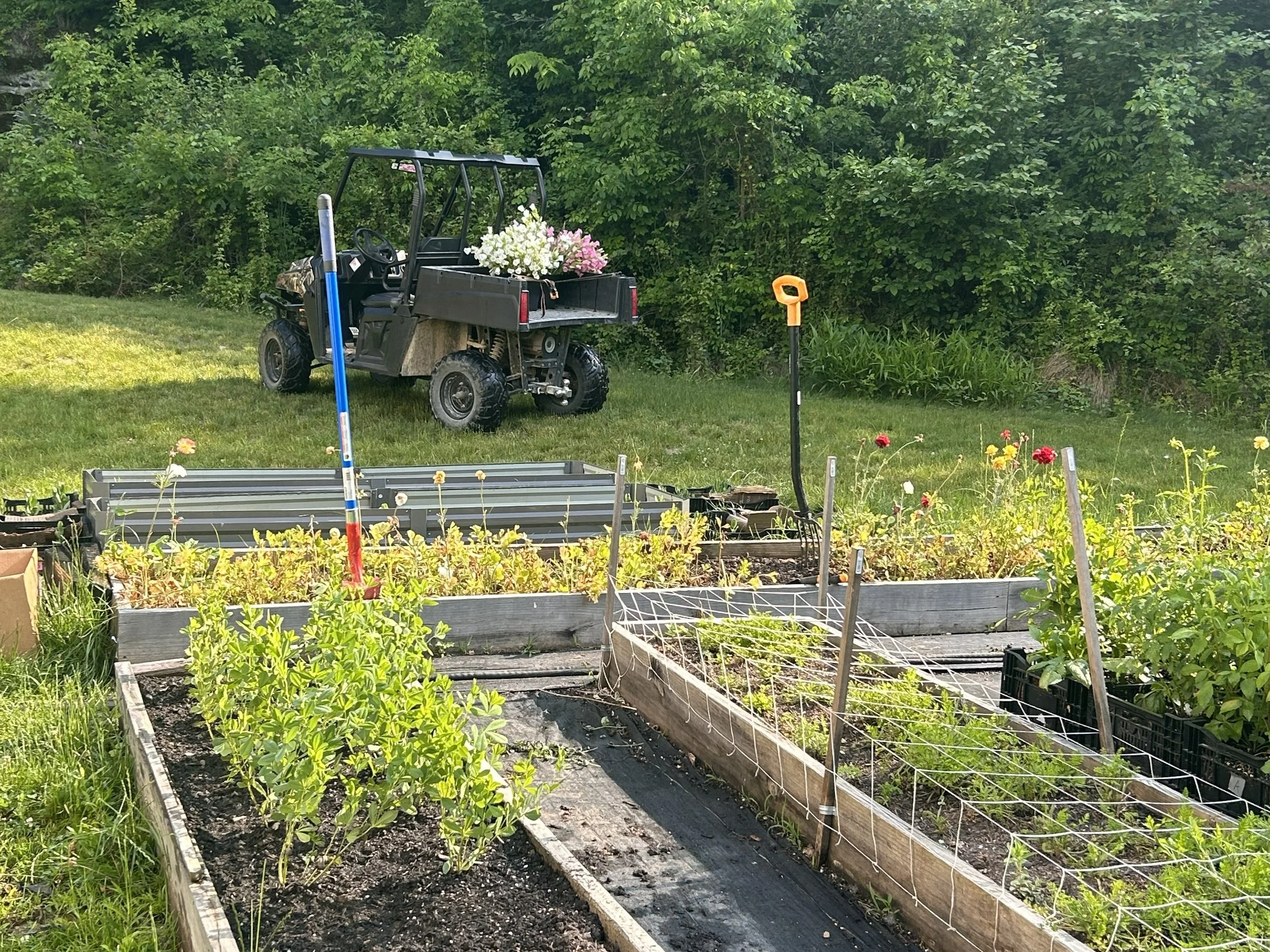 spring to summer flower bed at bloomsky flower farm