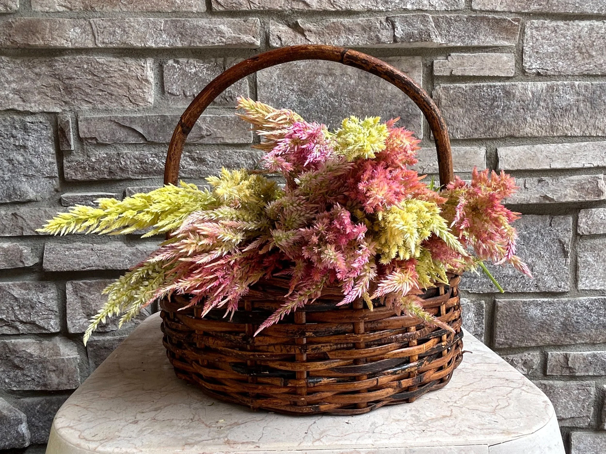 flower focus celosia photo by bloomsky farm