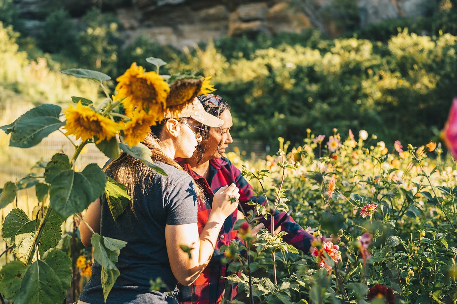 flower farm maintenance