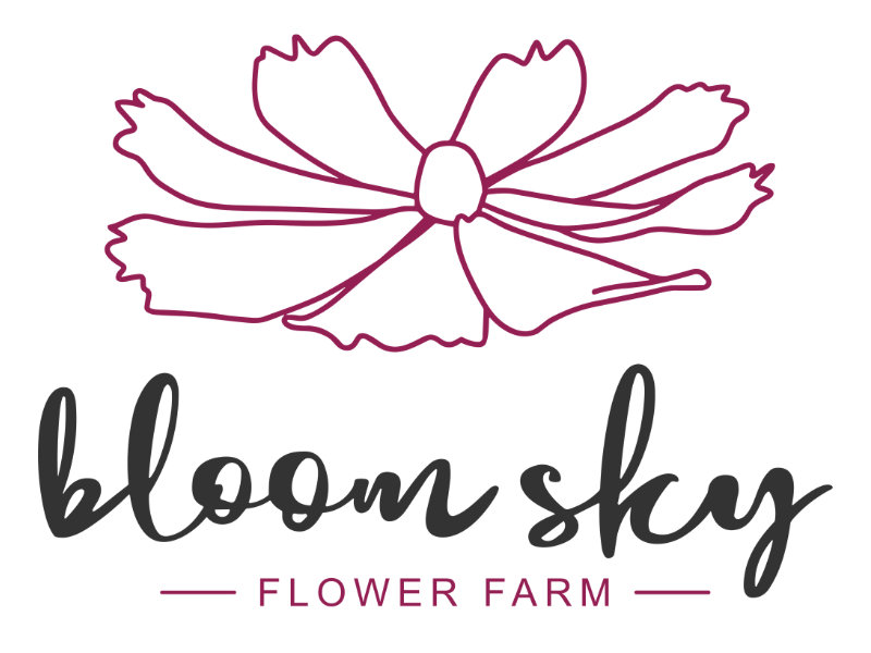 bloomsky flower farm main logo