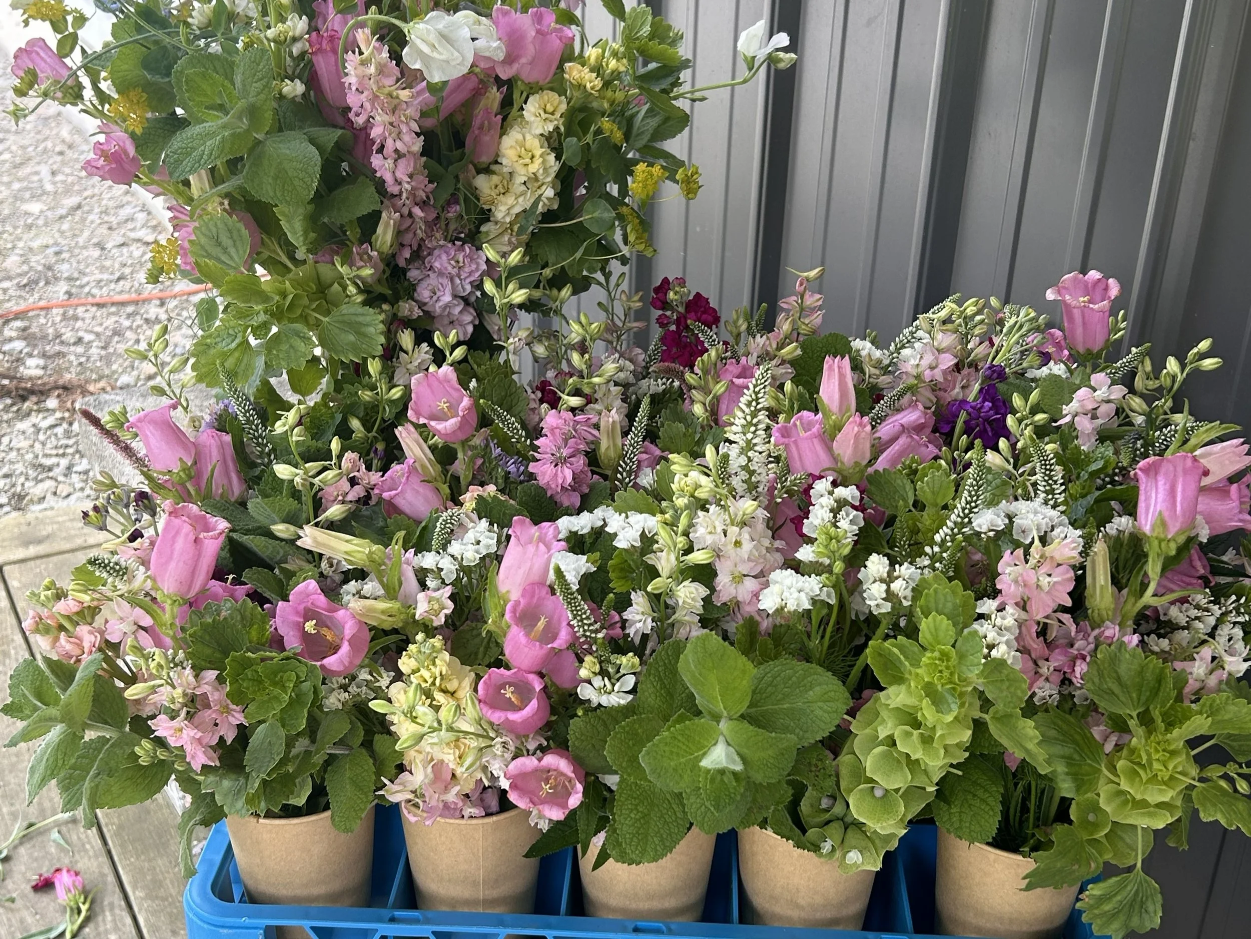 grow to give bouquets bloomsky farm