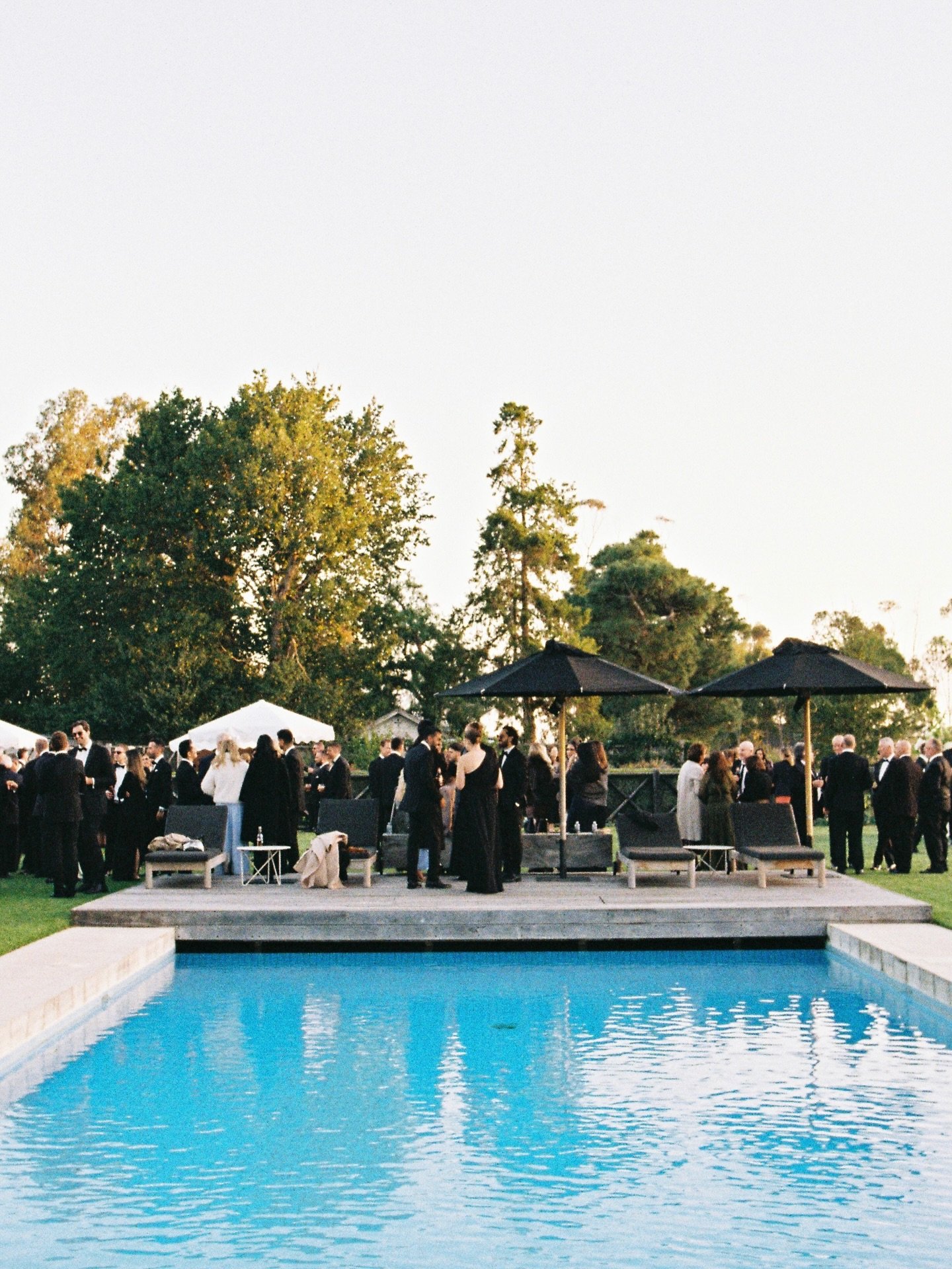 Maddy &amp; Nathan on 35mm 🎞️🤍

Venue @barunahplains 
Planner @weddingsofdesire 
Photographer @tenacresagency 
Videographer @tenacresagency 
Florist @flowersstgermain 
Catering @smithandcofoods 
Hair @evanblitsashair 
MUA @nicolaburgessmakeup 
Dres