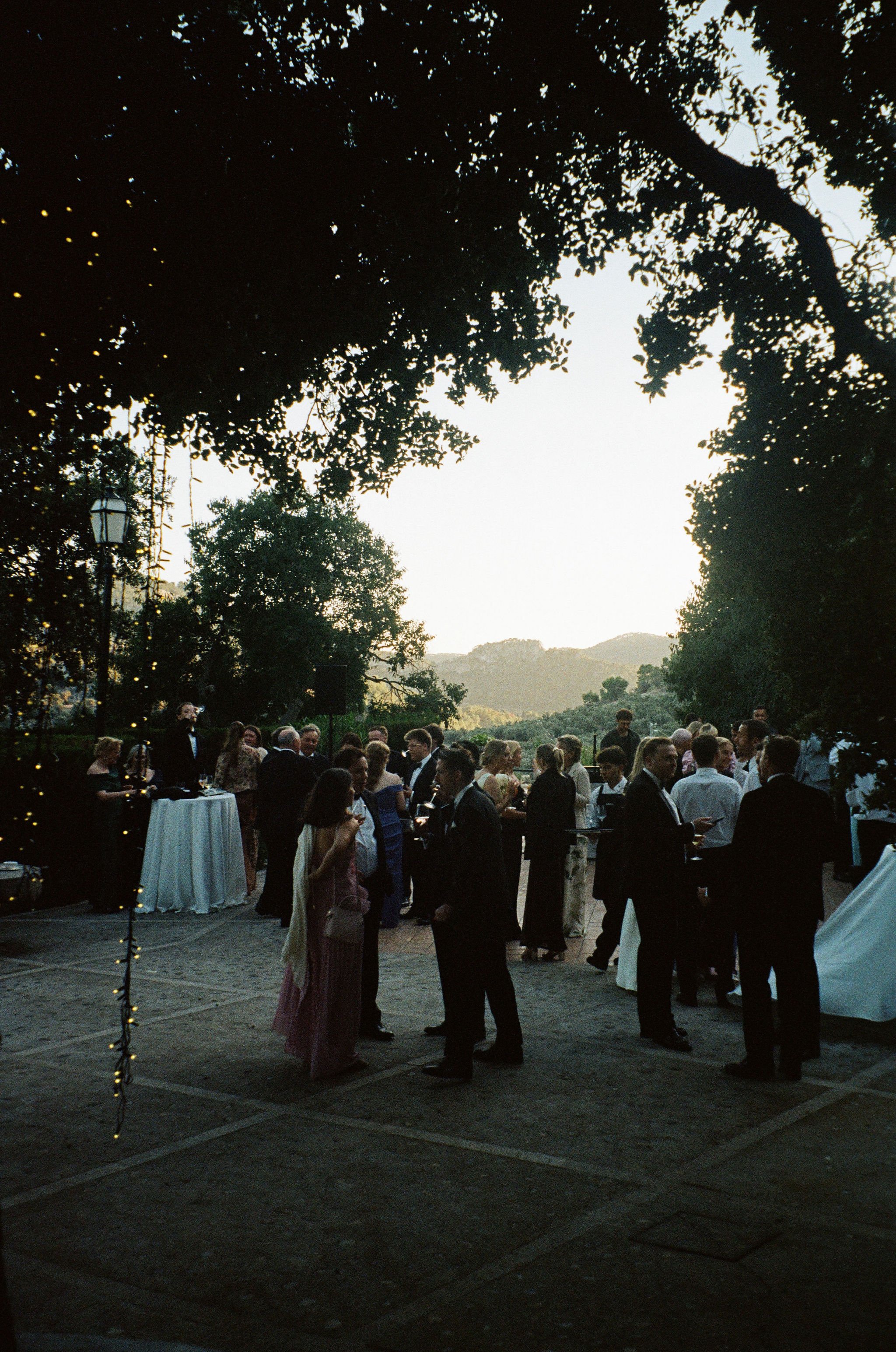 100009380010.jpg
