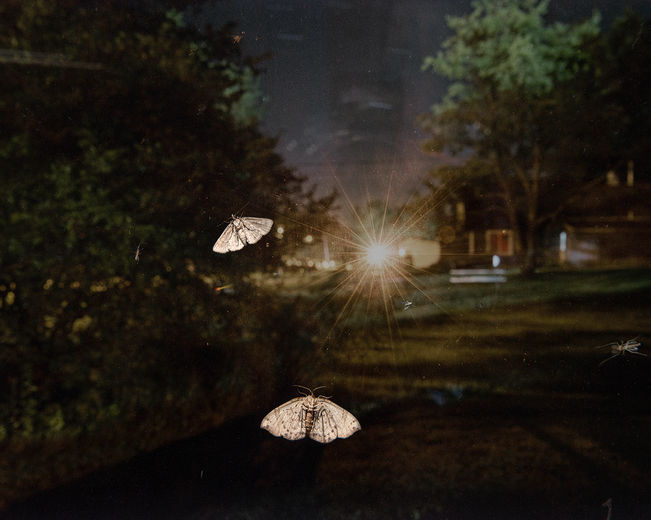 NIGHT COLLECTING Photography By DAVE BUSH