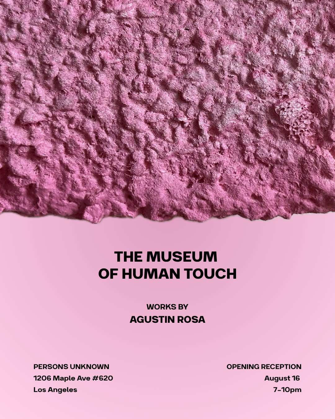 The Museum of Human Touch: works by Agustin Rosa