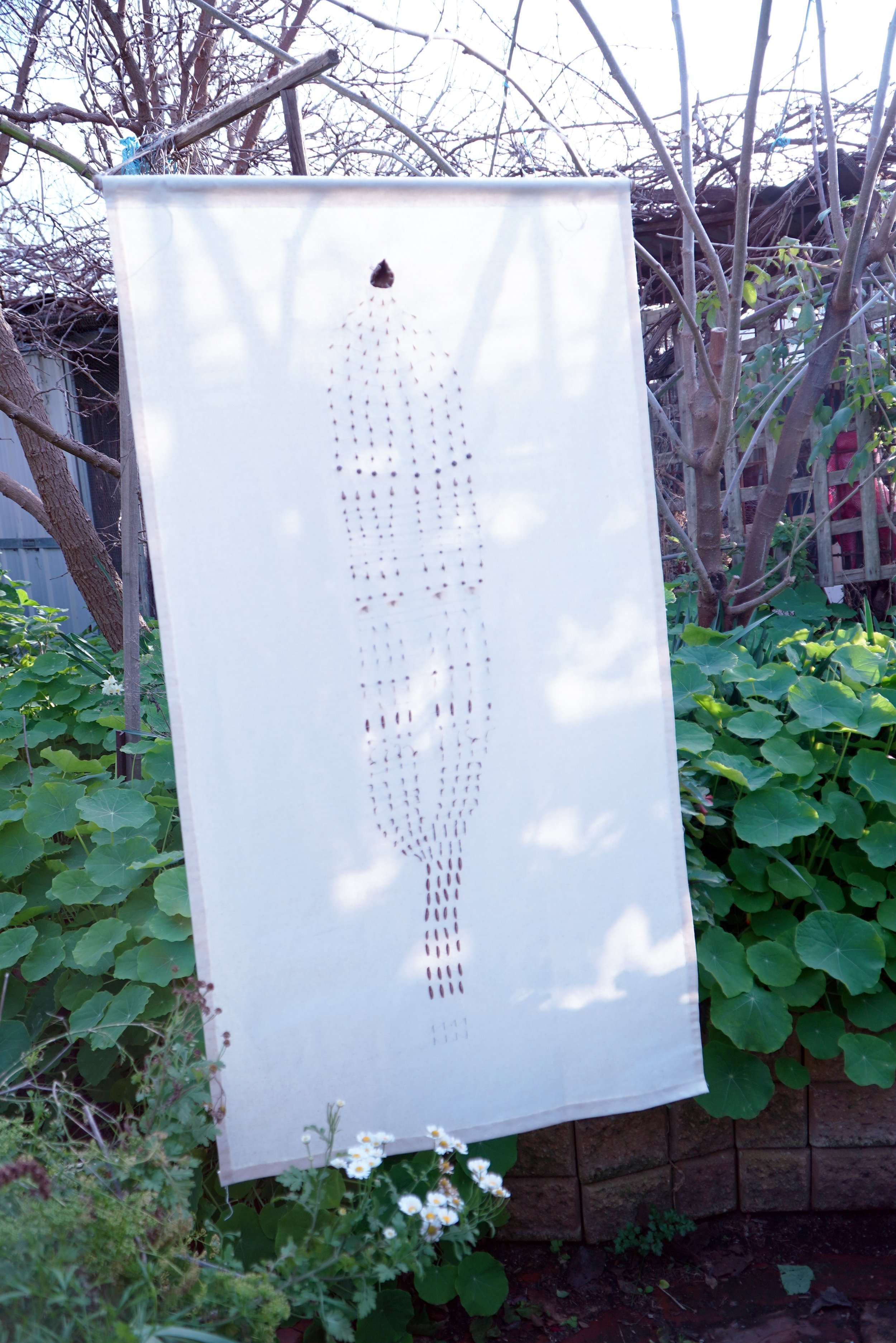 DSC07434.jpg