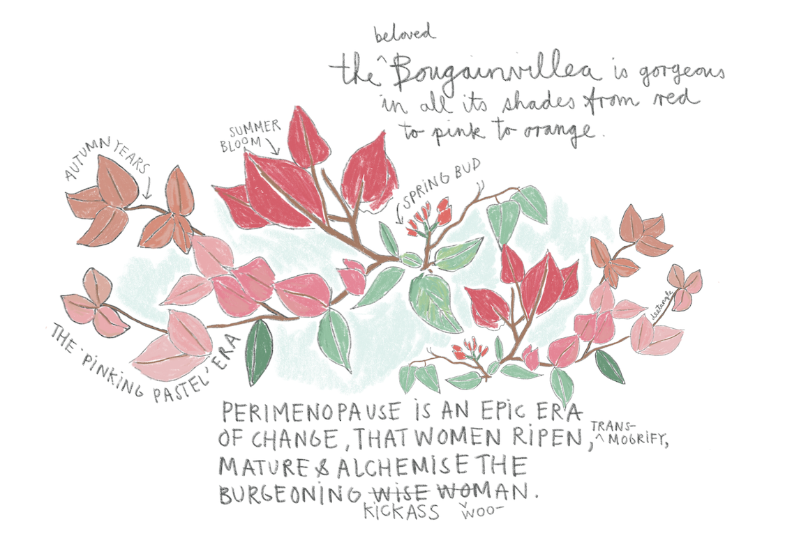 kawaheart studio dee kawai woo tang issue 109 perimenopause.png