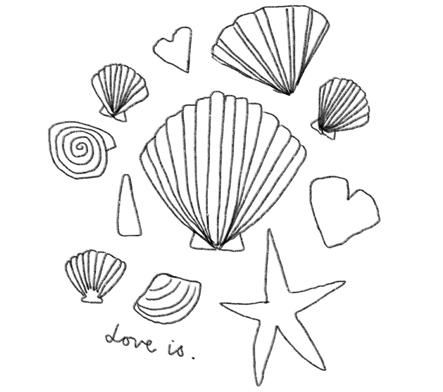 KAWA HEART STUDIO SHELLS.jpg