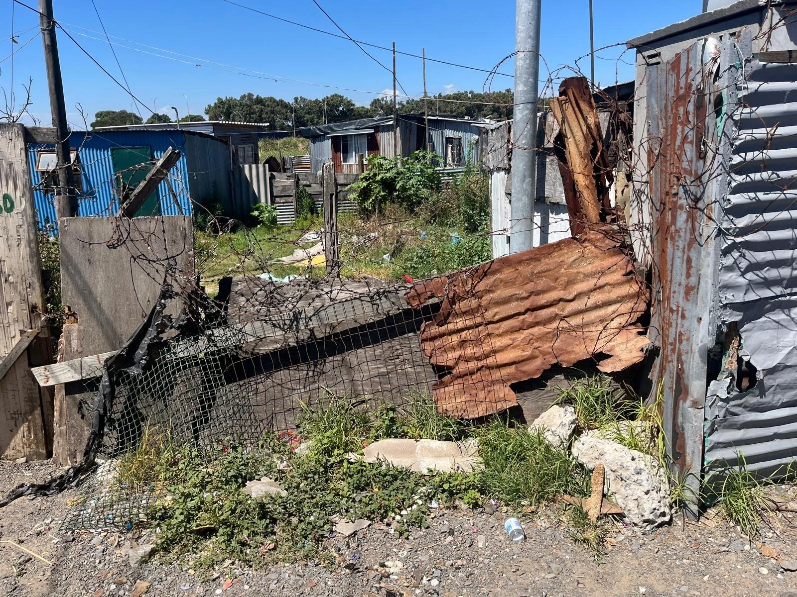 WhatsApp Image 2026-02-18 at 17.32.31.jpeg