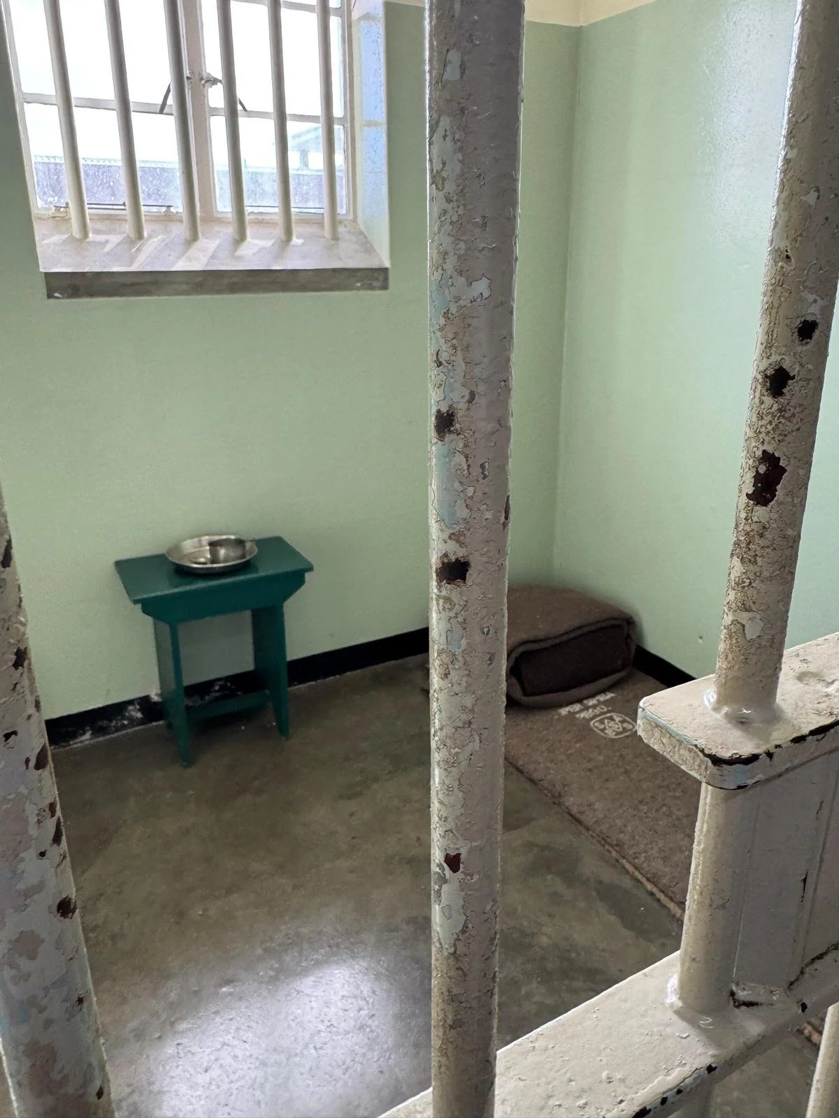 WhatsApp Image 2026-02-26 at 14.16.58.jpeg