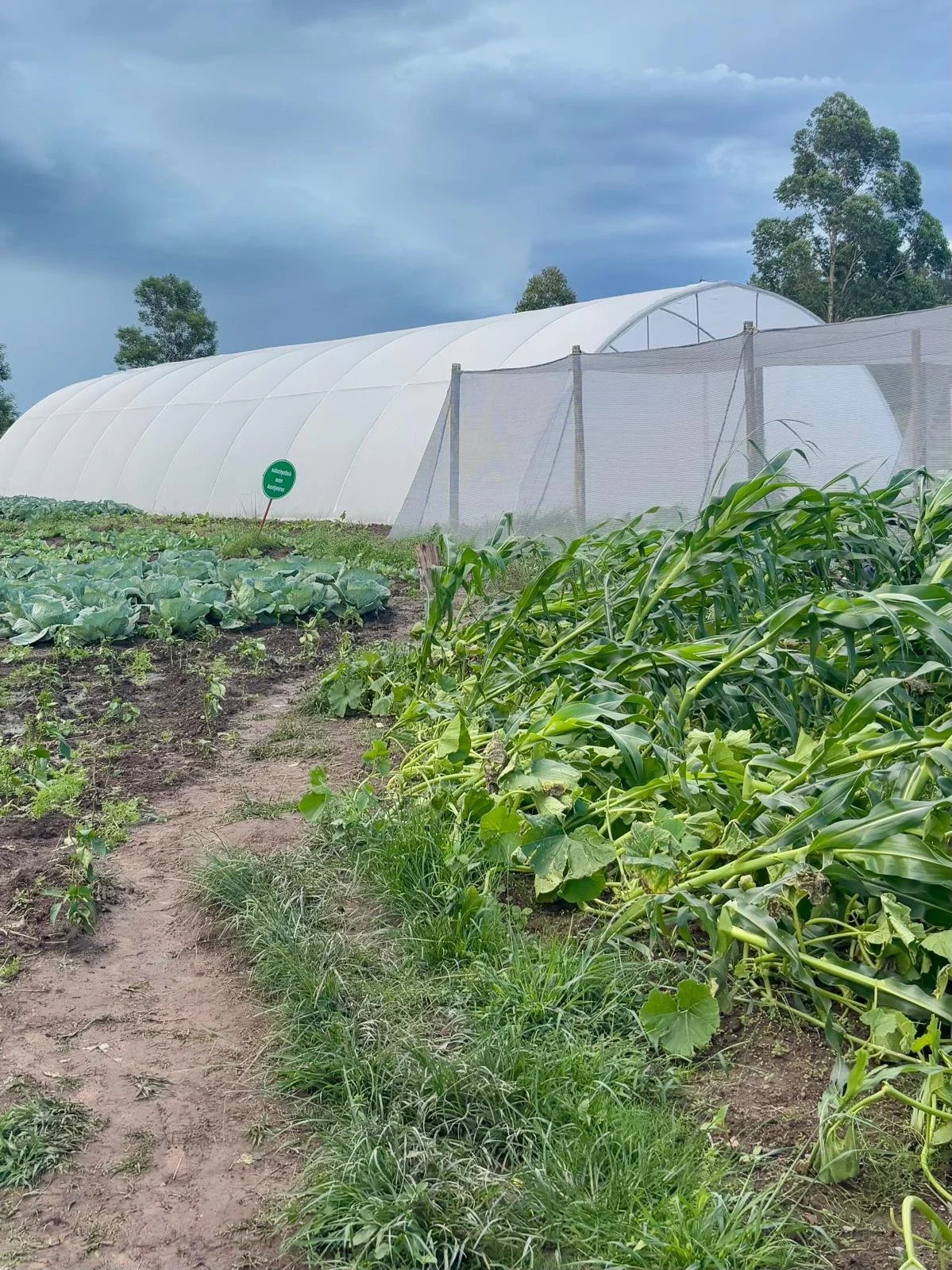 WhatsApp Image 2026-02-27 at 05.09.59 (1).jpeg