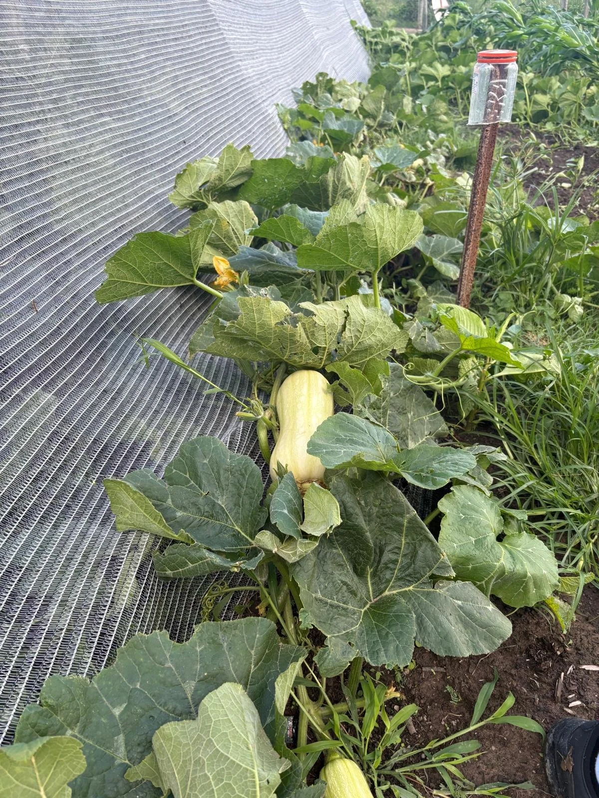 WhatsApp Image 2026-02-27 at 05.09.58 (2).jpeg