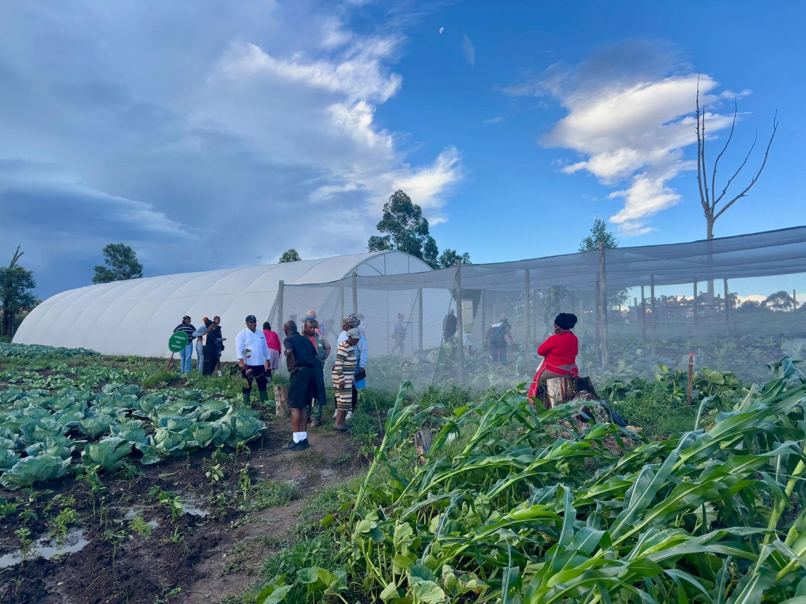 WhatsApp Image 2026-02-27 at 05.09.57 (1).jpeg