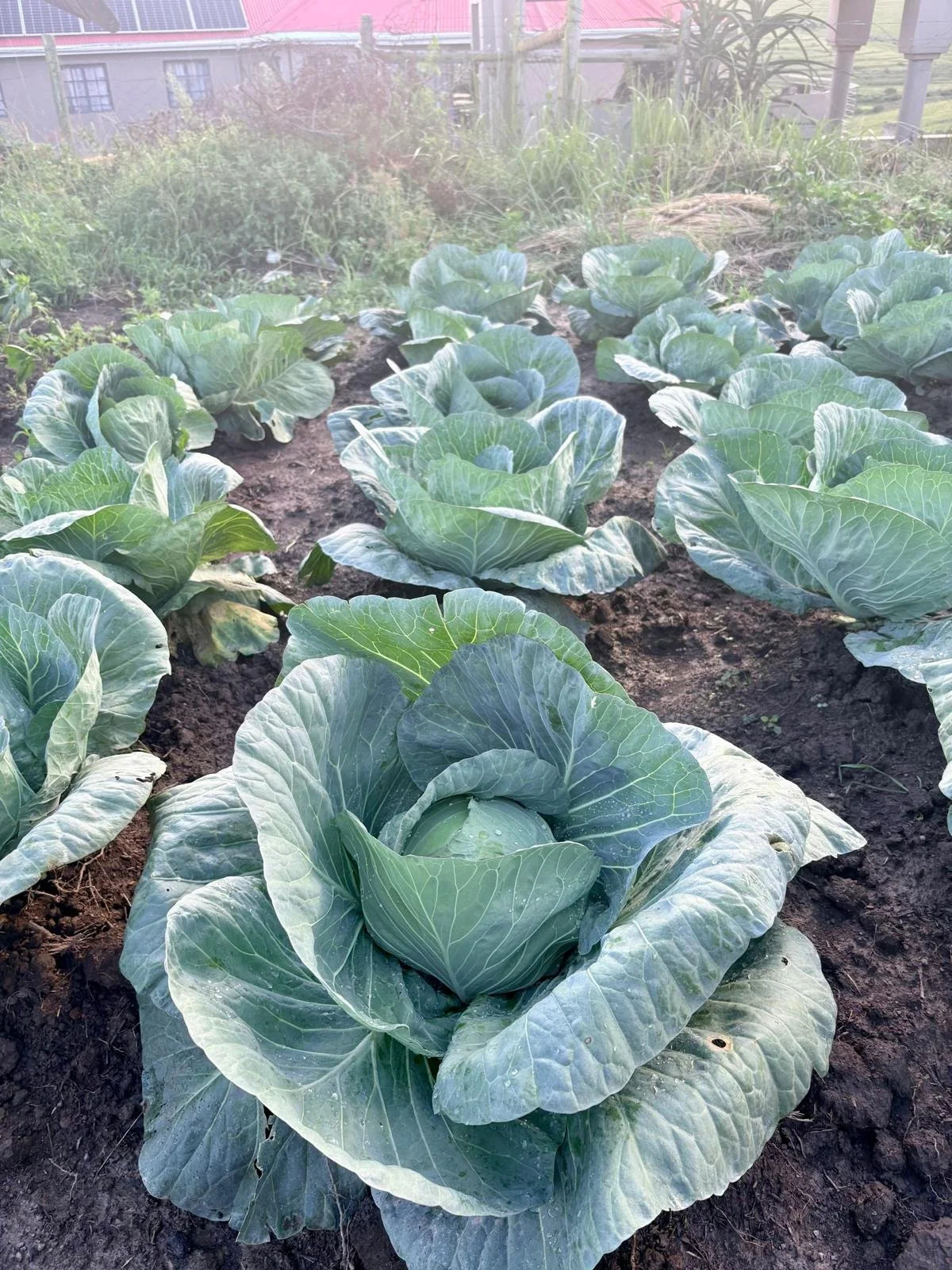 WhatsApp Image 2026-02-27 at 05.09.56 (1).jpeg