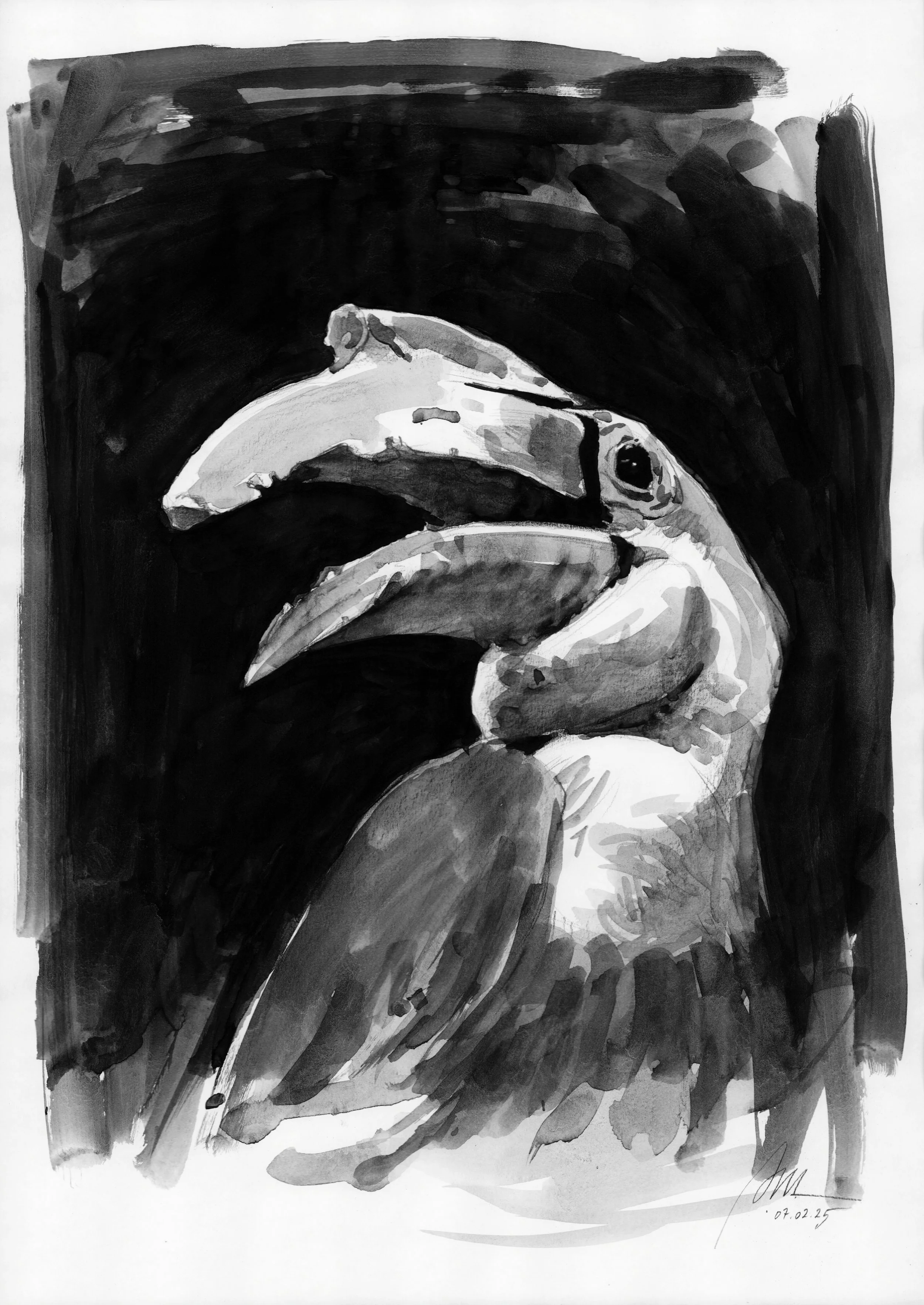 Nashornvogel 600 dpi.jpeg