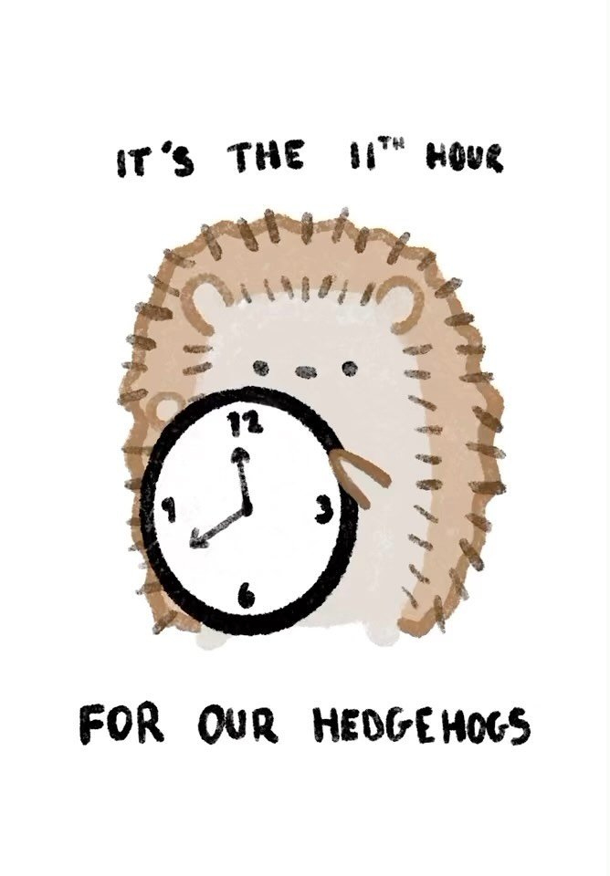 Hedgehogs; a little animation for the awareness of the endangerment of hedgehogs. 🦔
