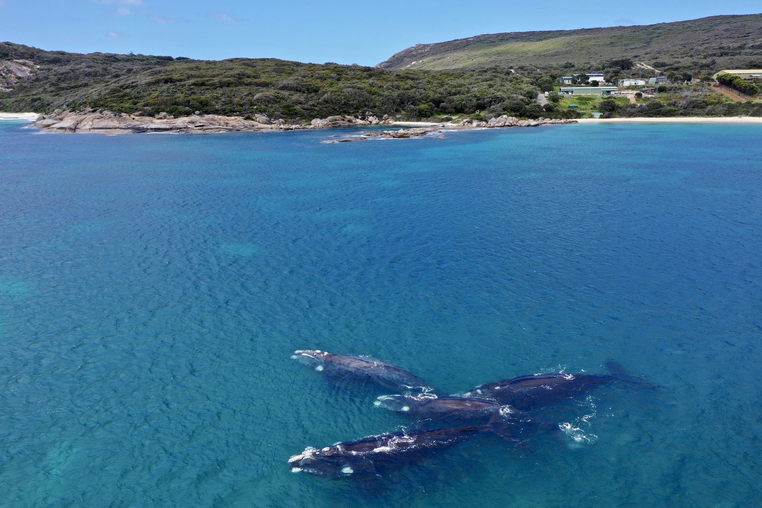 DJI_0314.JPG
