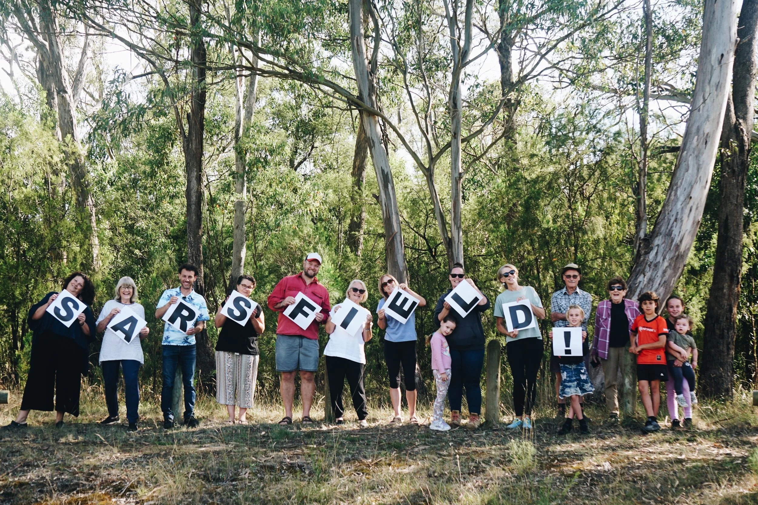 Sarsfield 2030 In Review