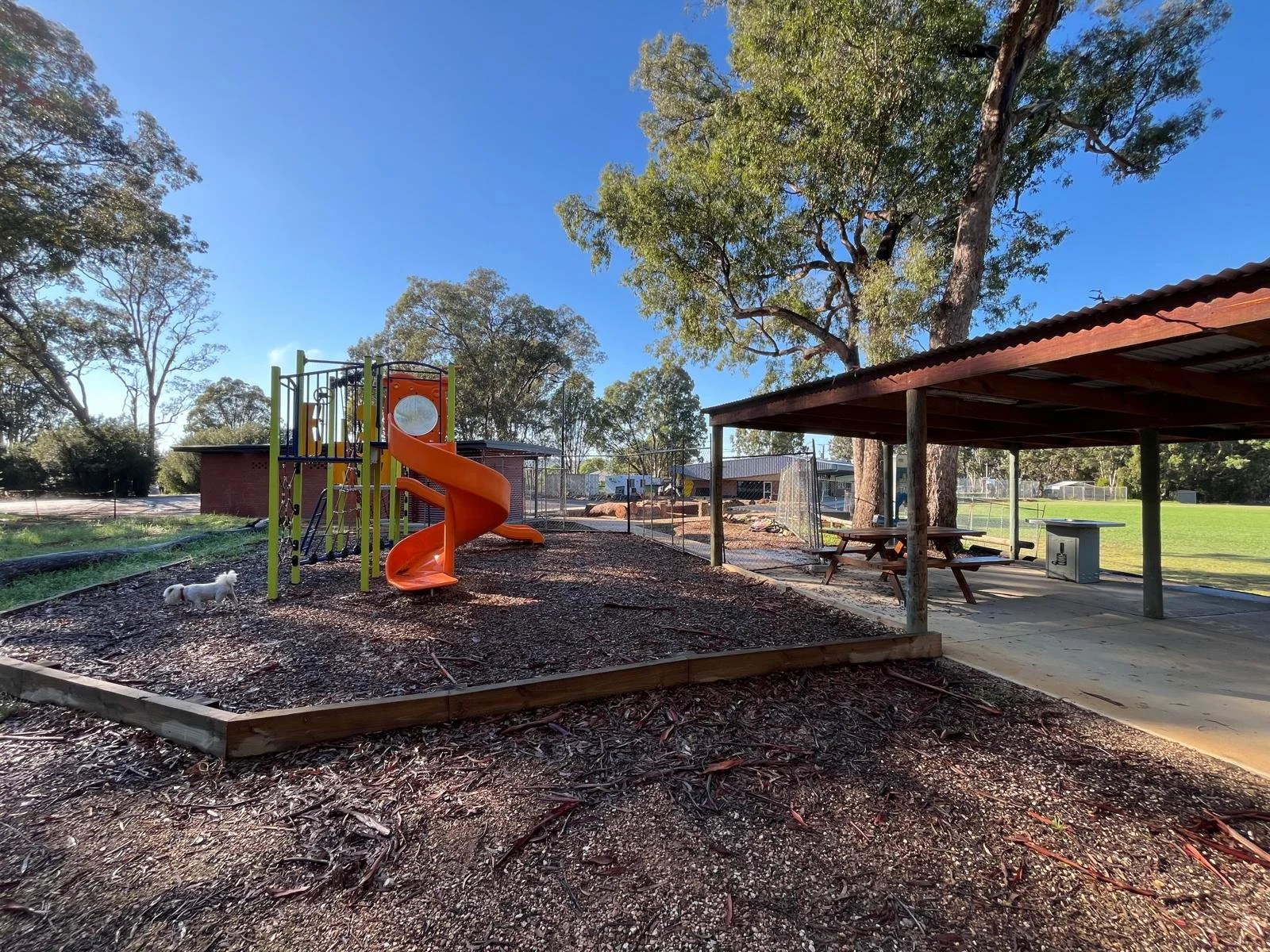 path to bbq area.jpeg