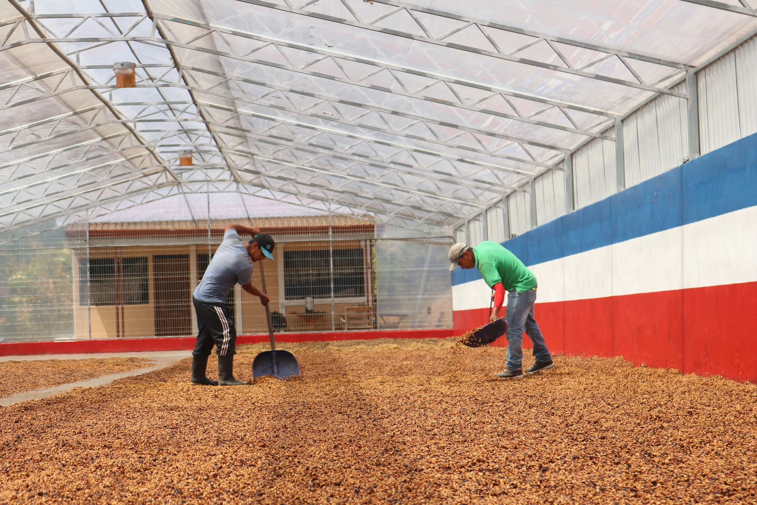 Copy of IMG_3827.JPG