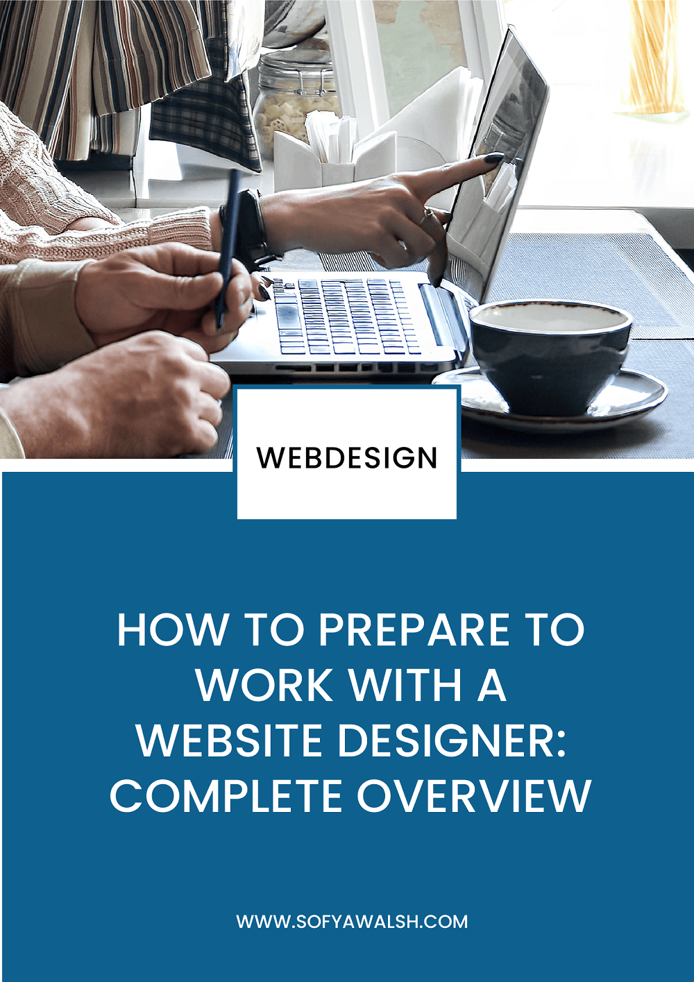 How to Prepare to Work with a Website Designer: Complete Overview
