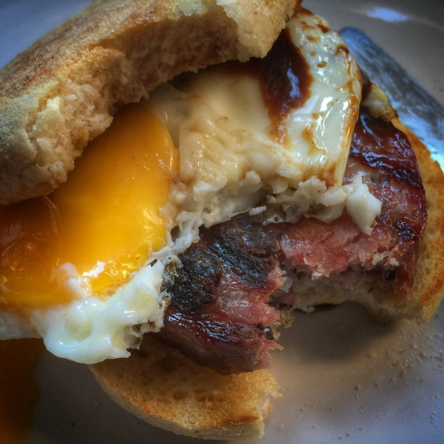 2016-04-05 08.51.26-2.jpg