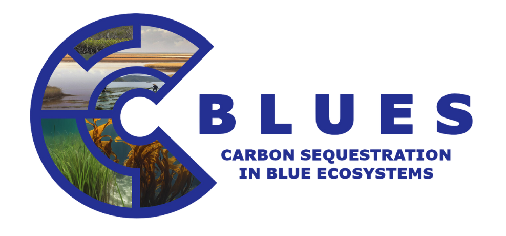 New C‑BLUES Project Video Showcases the Importance of Blue Carbon Ecosystems
