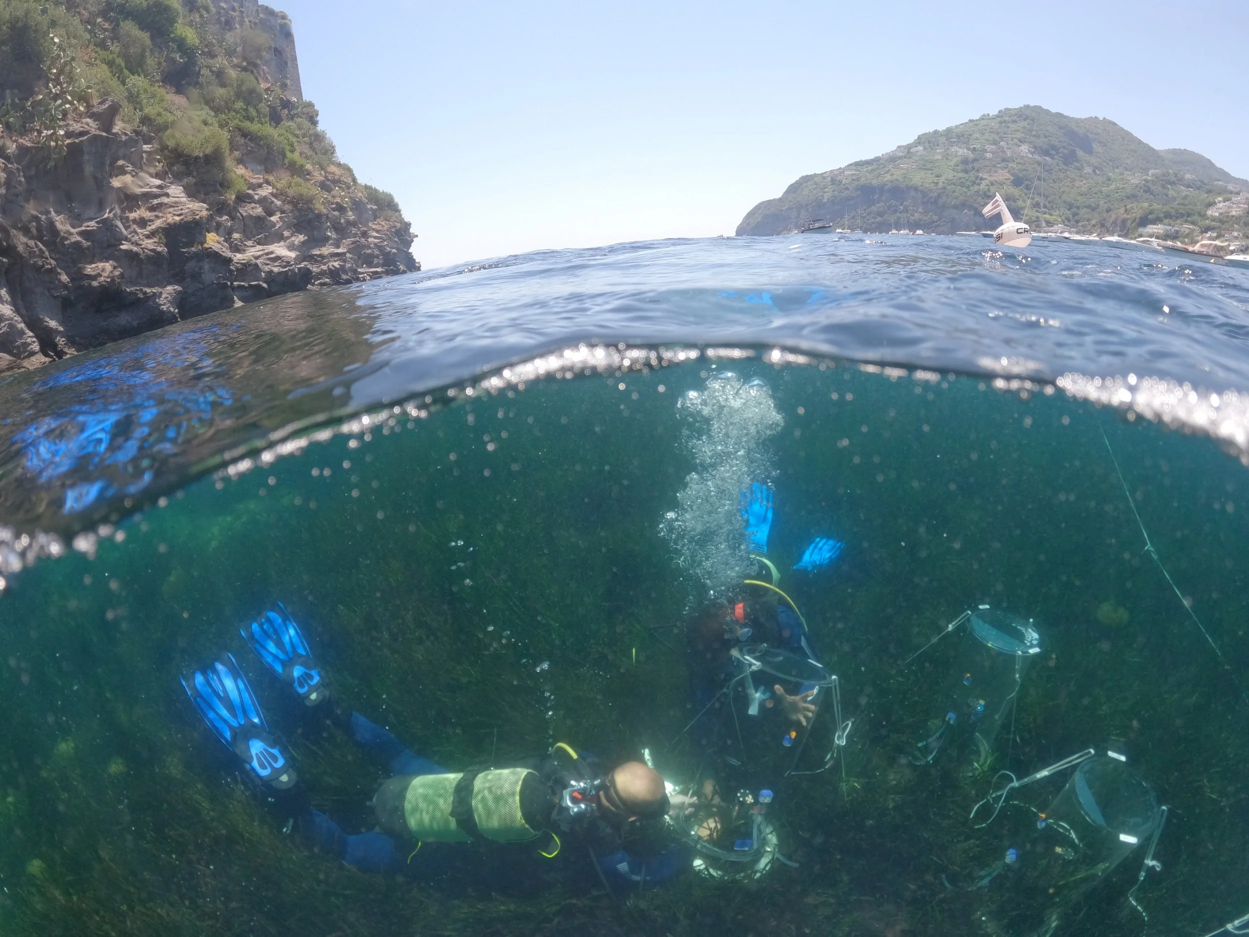 C-BLUES field campaign at the Ischia CO₂ vents