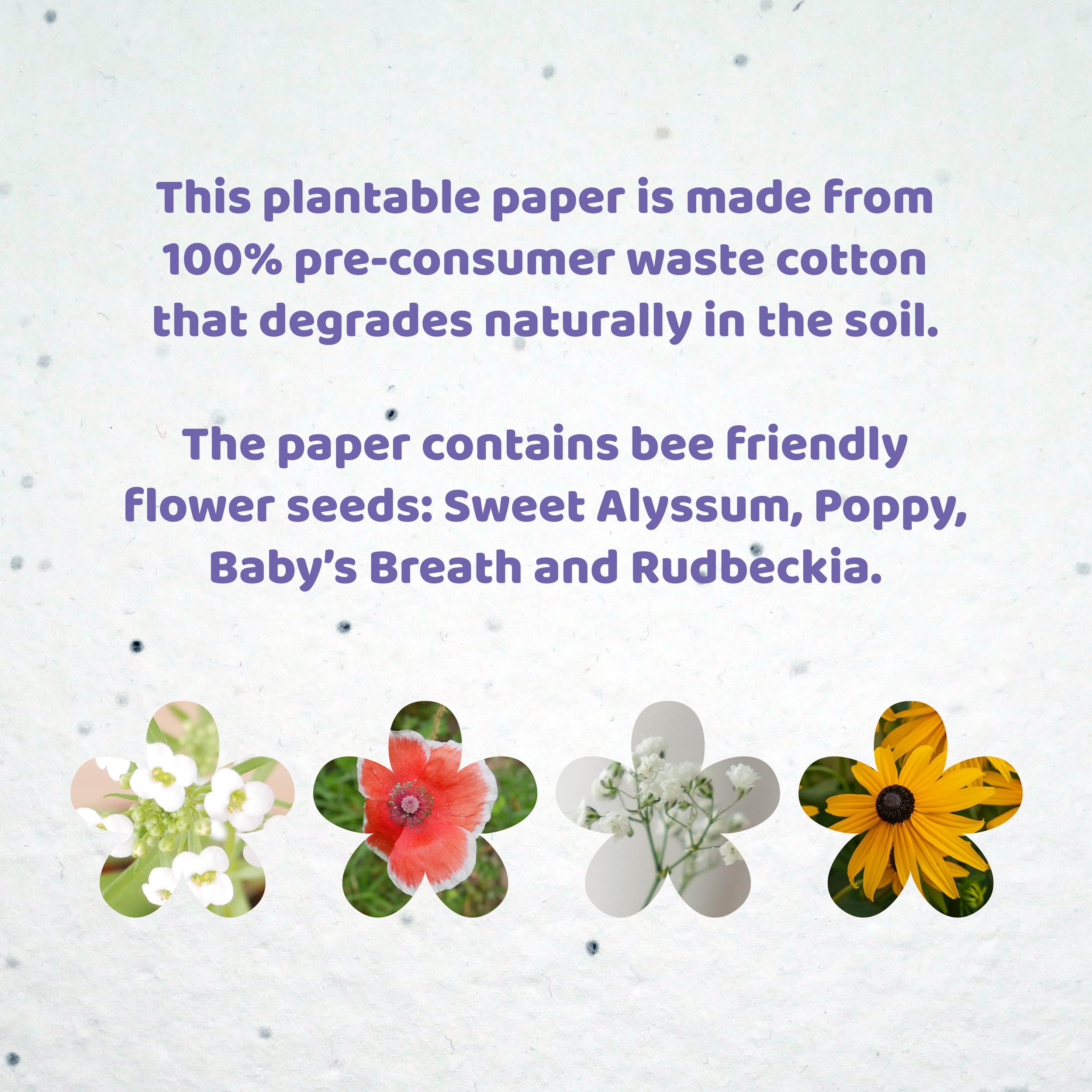 Bee friendly wild flower paper