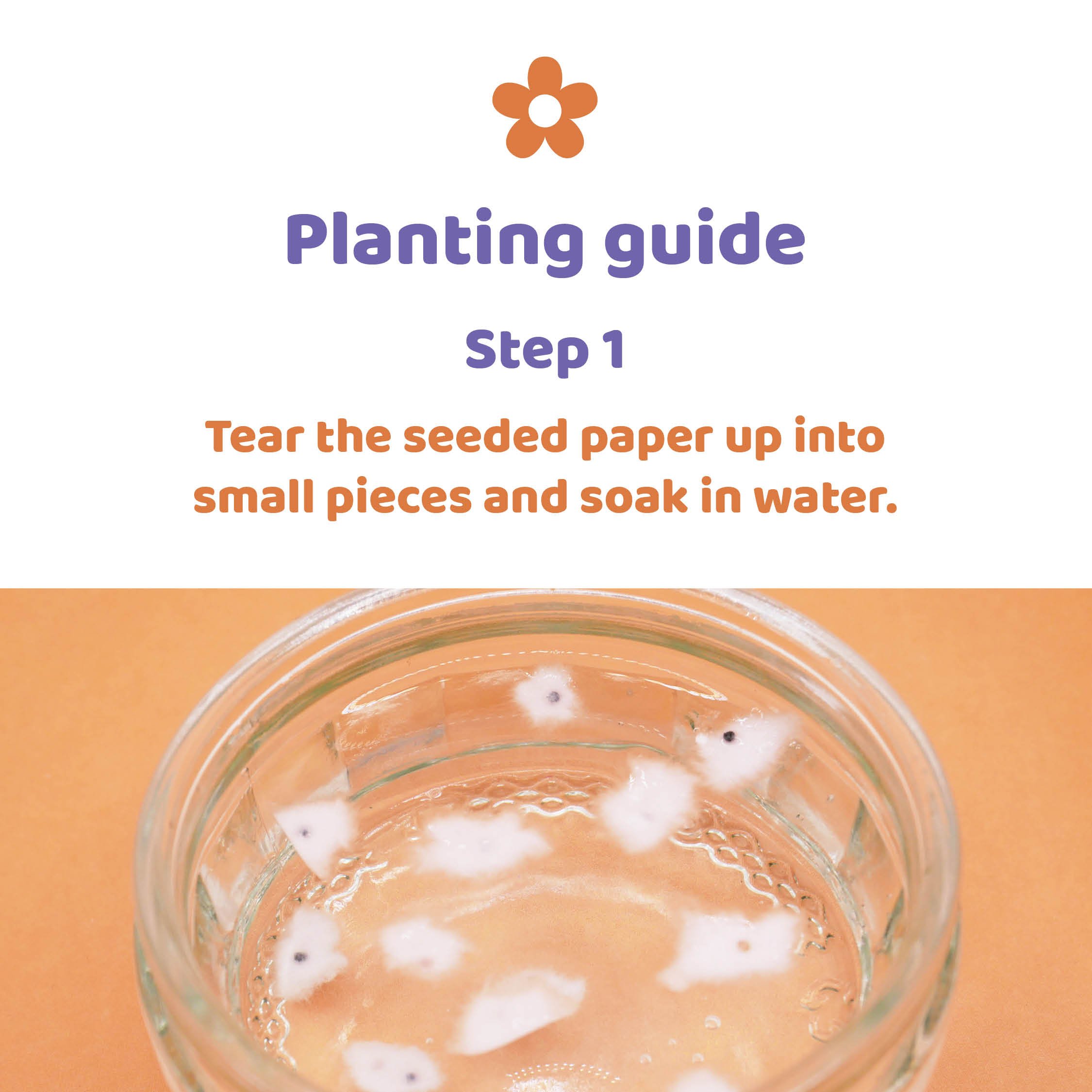 Planting guide step one, tear the paper up into small pieces and soak in water
