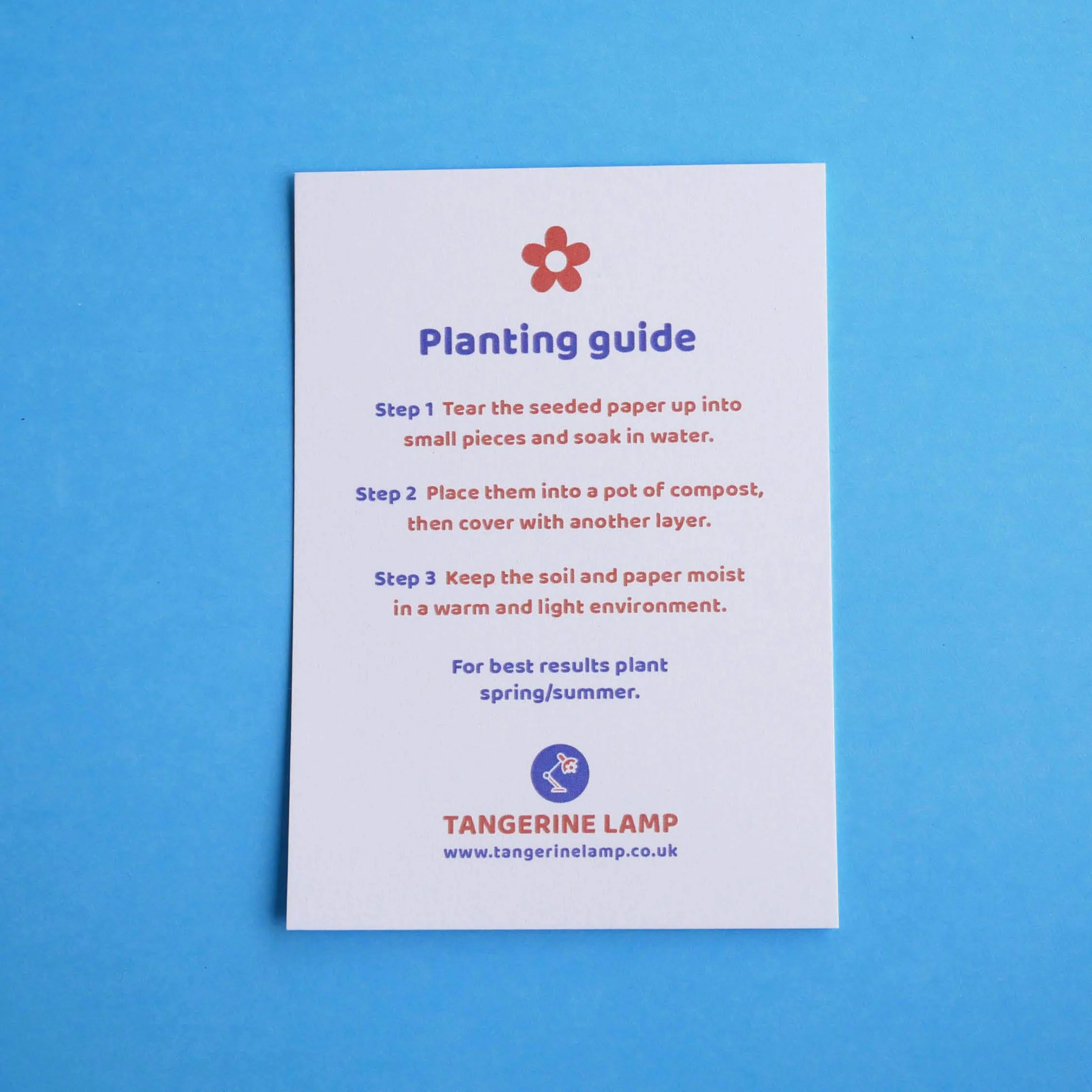 Plantable Rainbows Planting Guide.jpg
