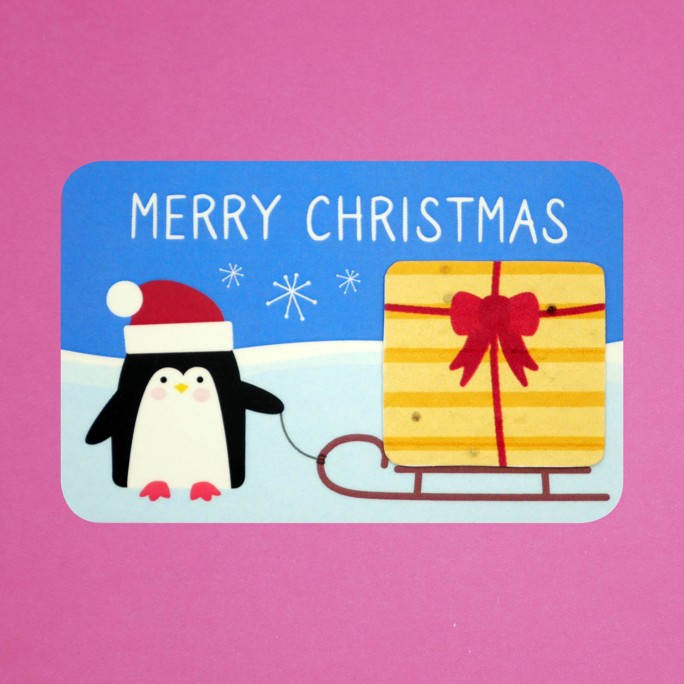 Small Christmas plantable present with cute little penguin. Features a removable gift that contains wild flower seeds. The wording on the front of the card says: Merry Christmas.