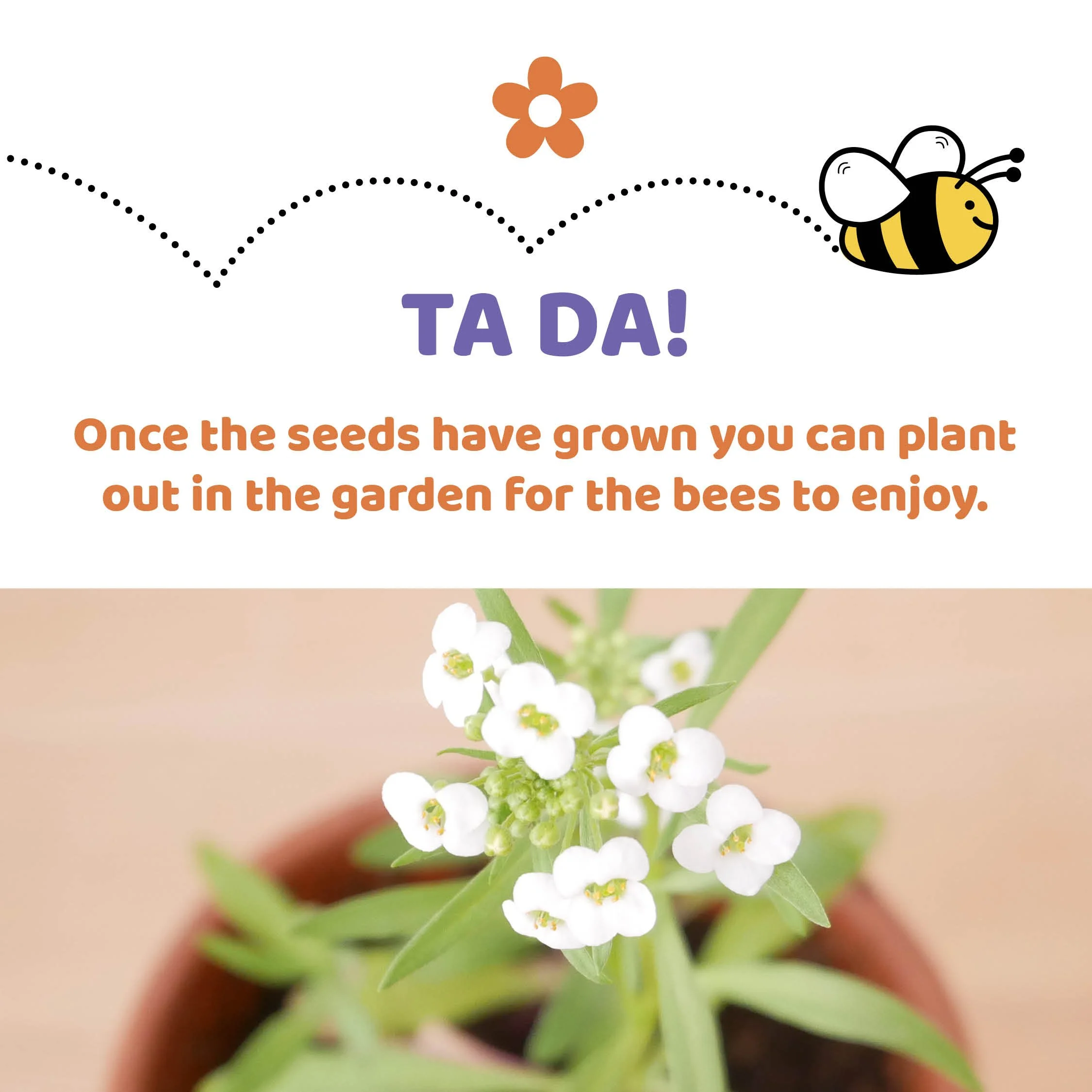 Flowers Afet Rainbows Have Grown.jpg