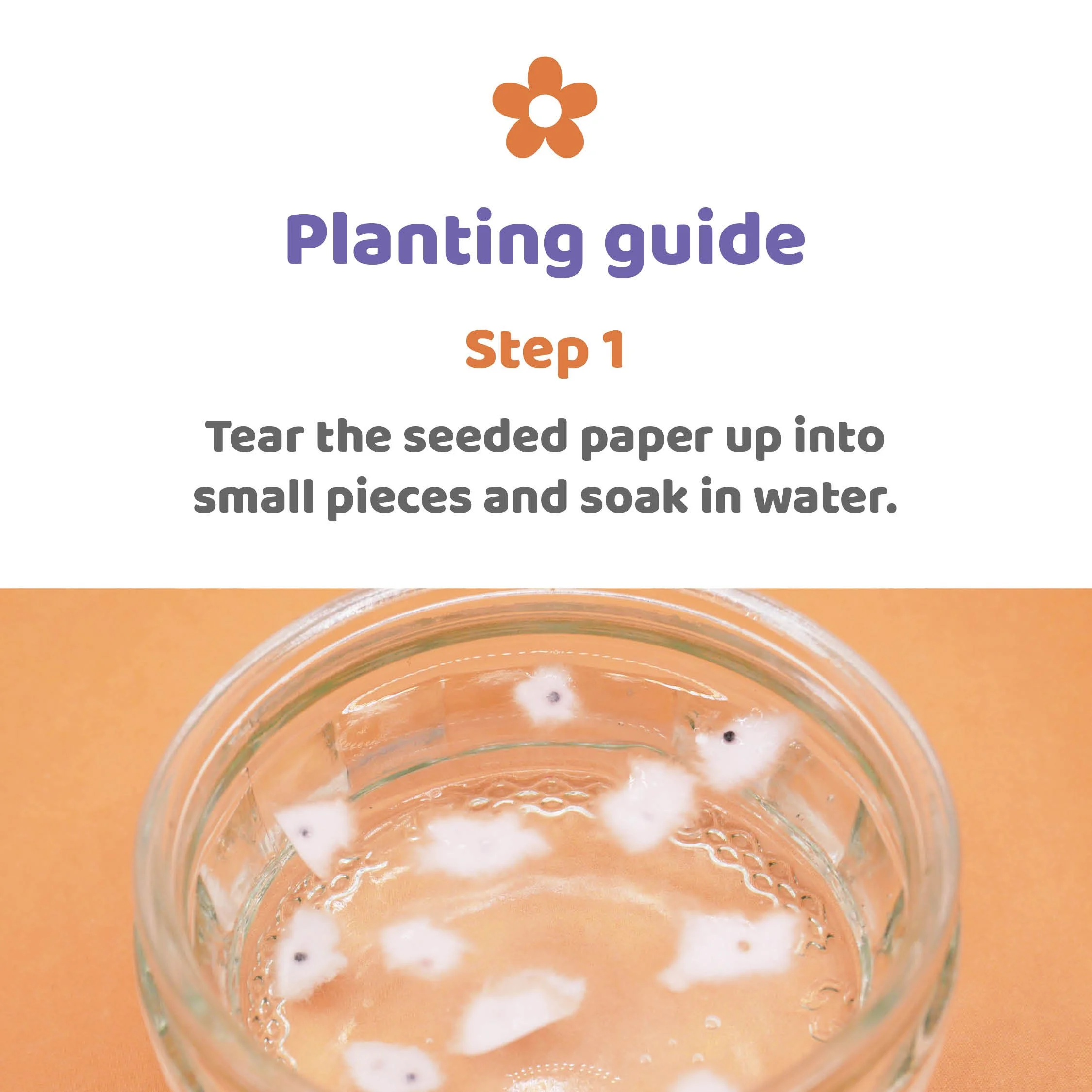 Plantable Rainbows Planting Guide Step One.jpg
