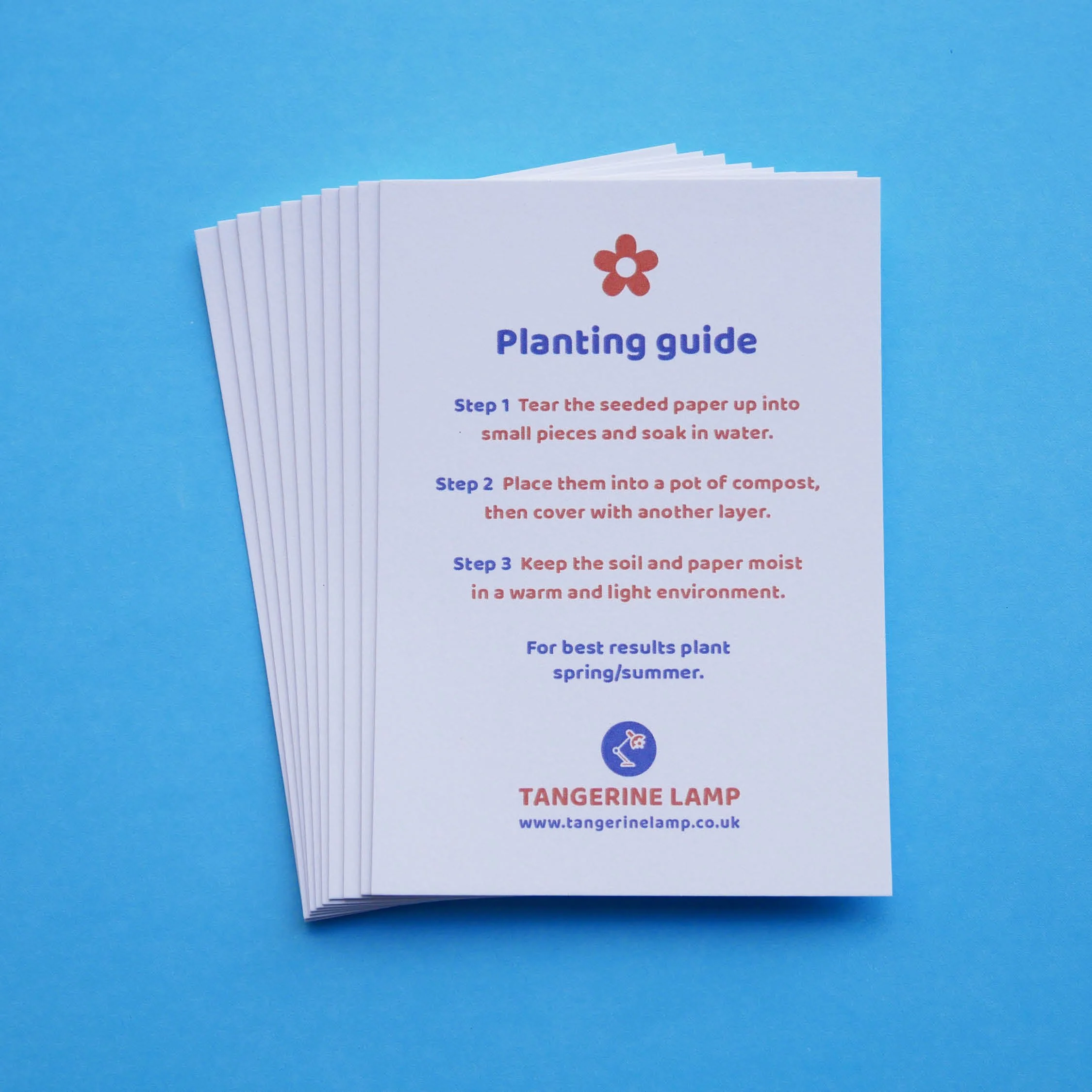 Tangerine Lamp Planting Guide Pack of Ten.jpg