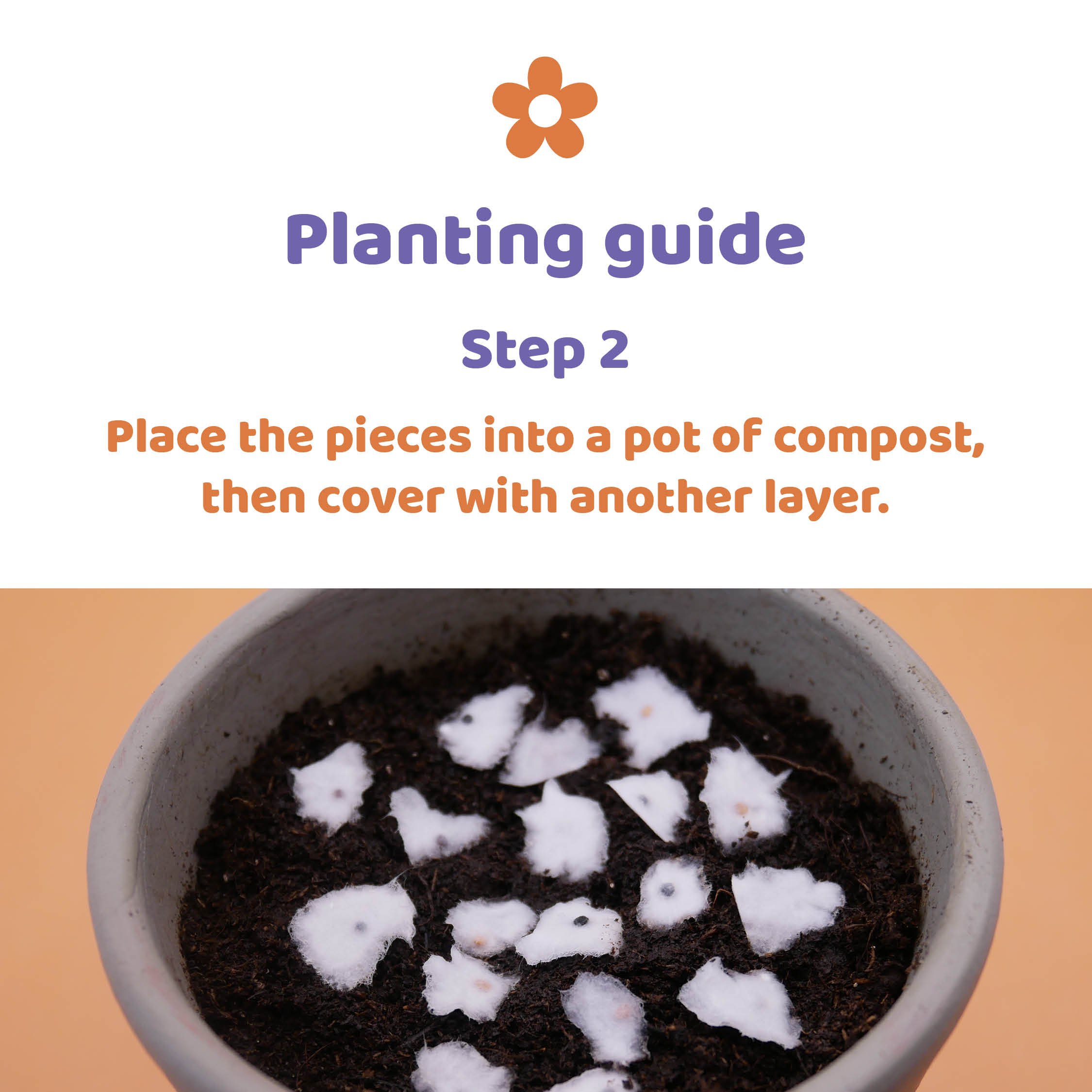 Planting guide step two - cover with soil.jpg