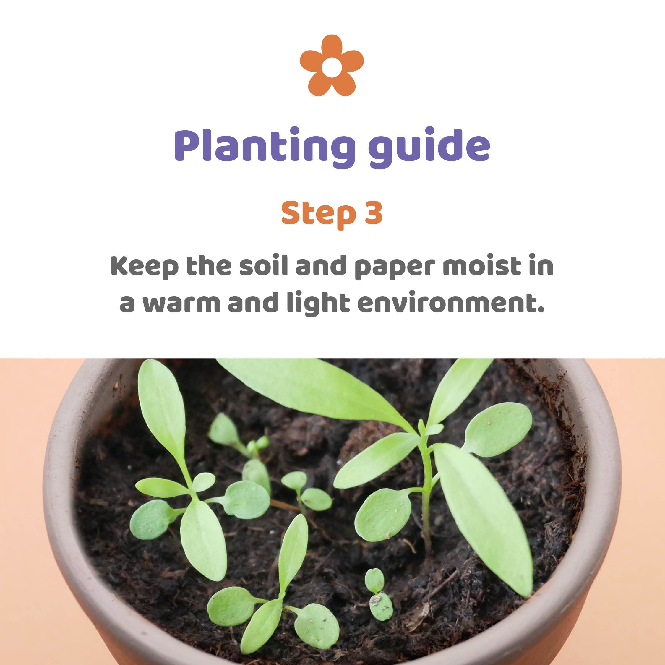Plantable Rainbows Planting Guide Step Three.jpg