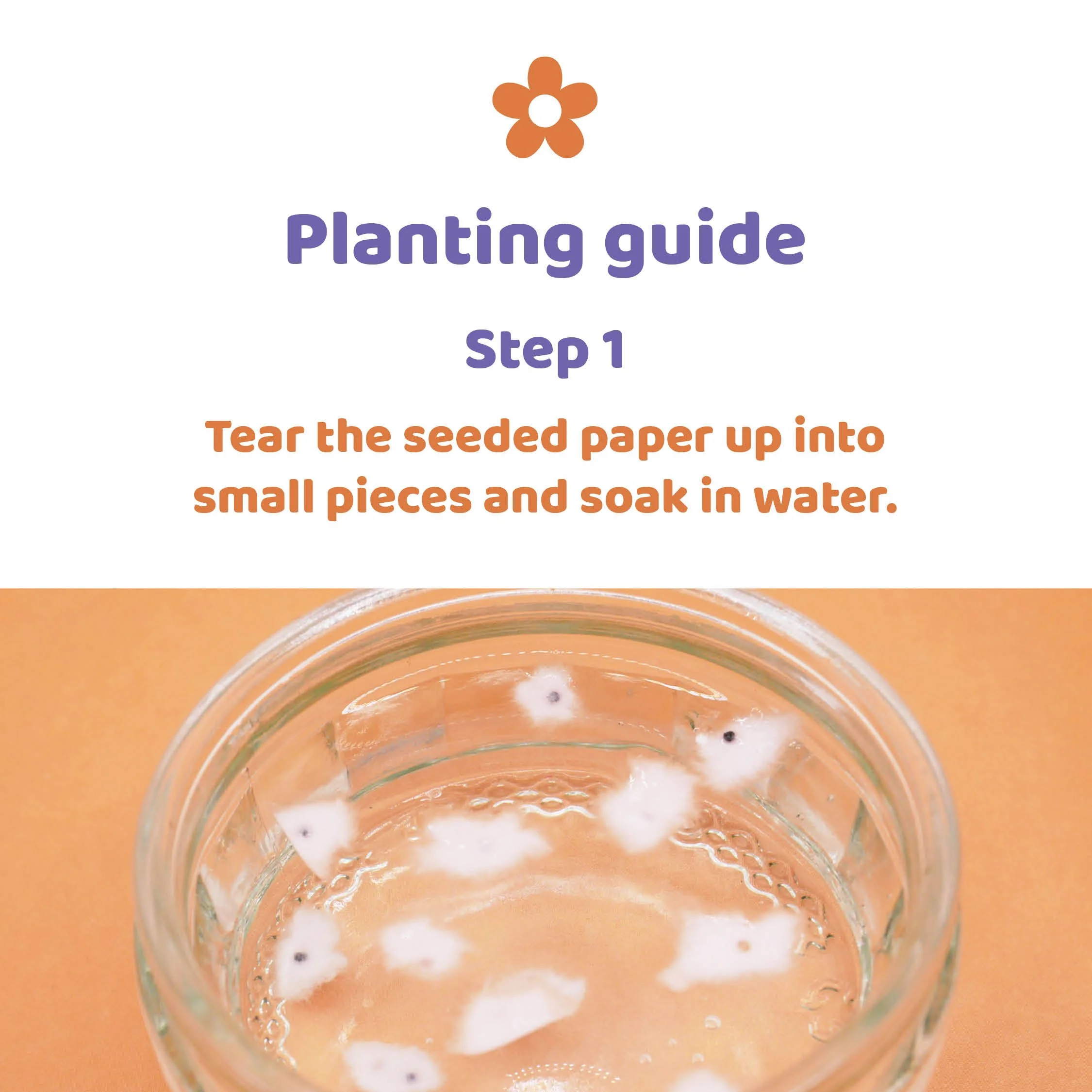 Planting guide step one. Tear the seeded paper up into small pieces and soak in water.