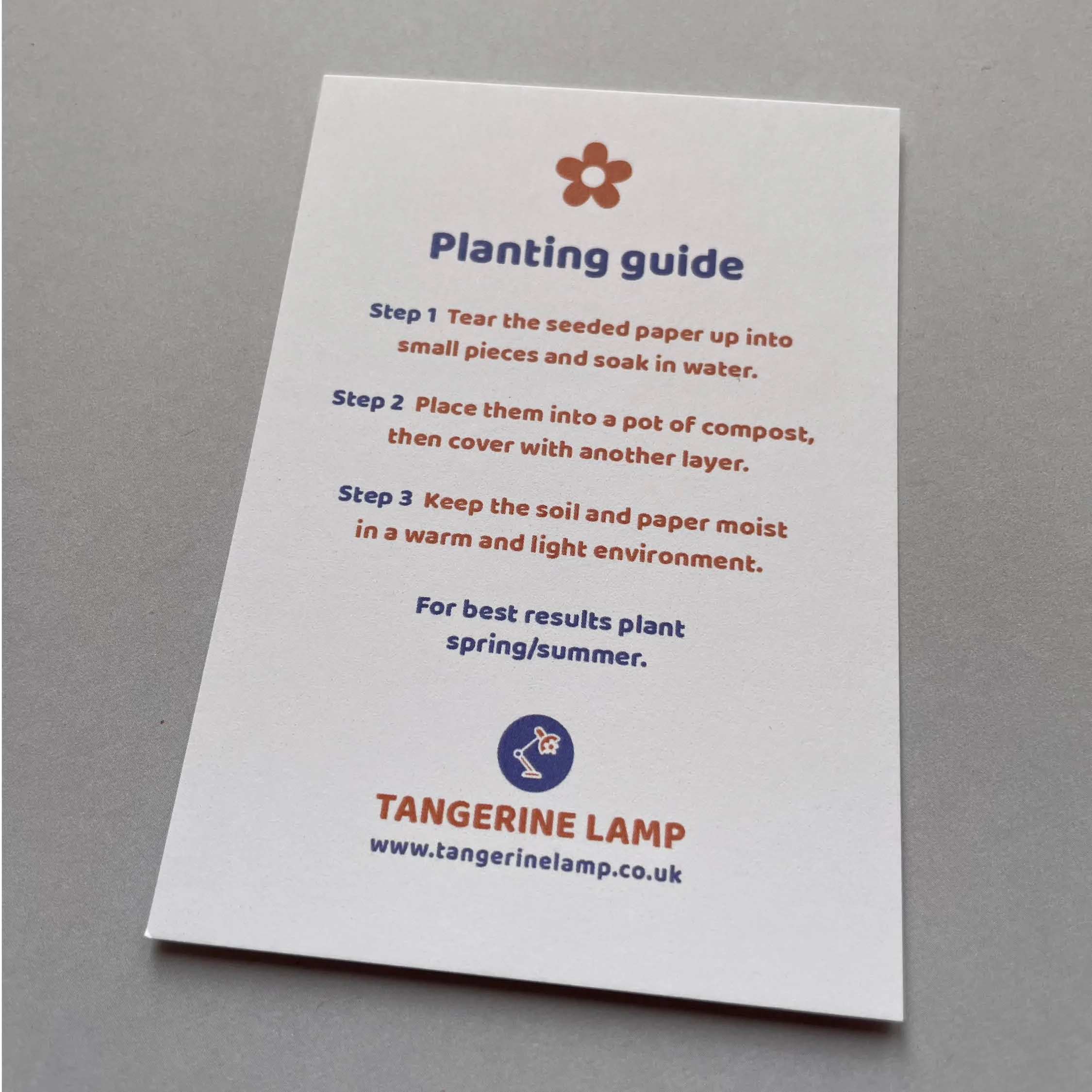 Plantable Biscuits Planting Guide.jpg