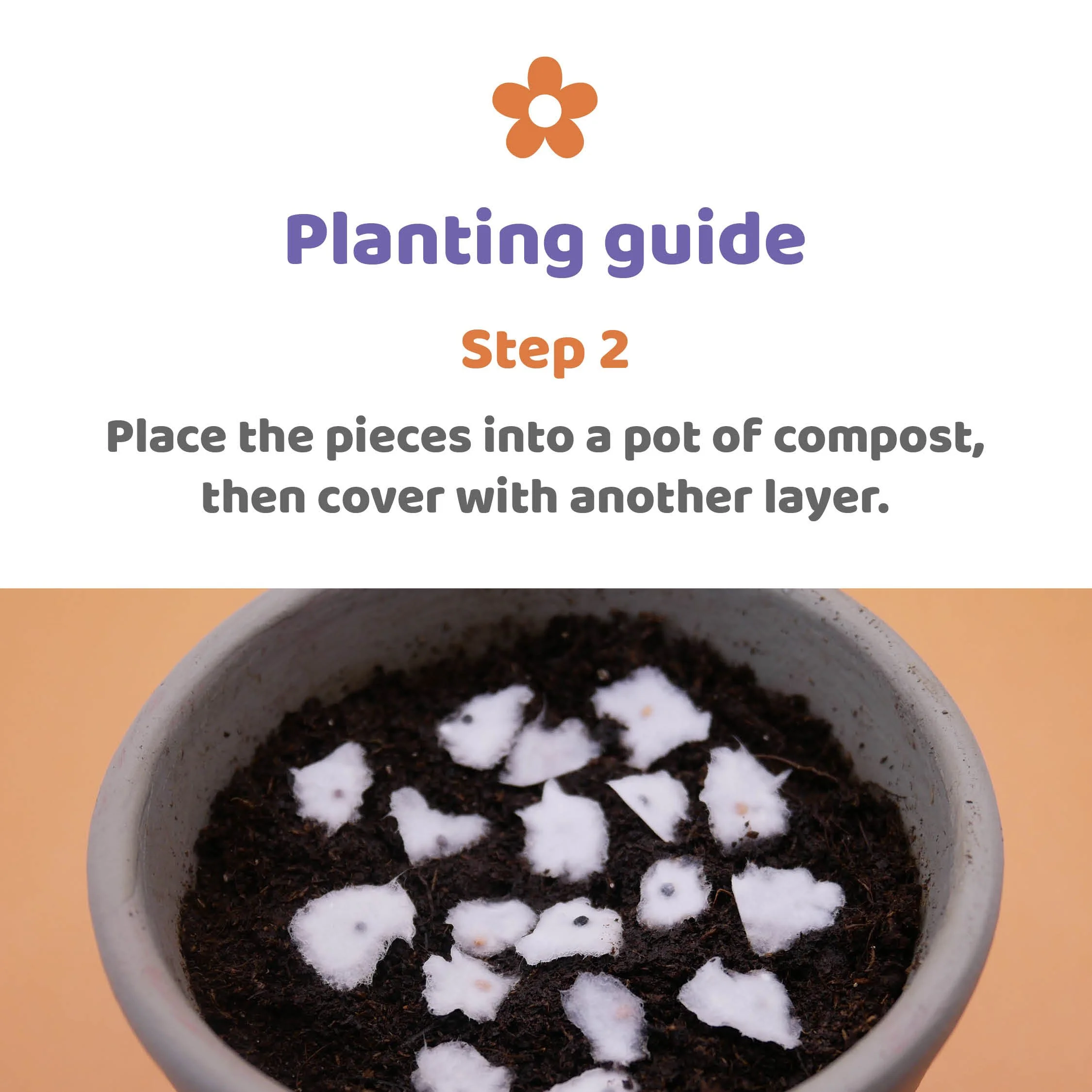 Plantable Rainbows Guide Step Two.jpg