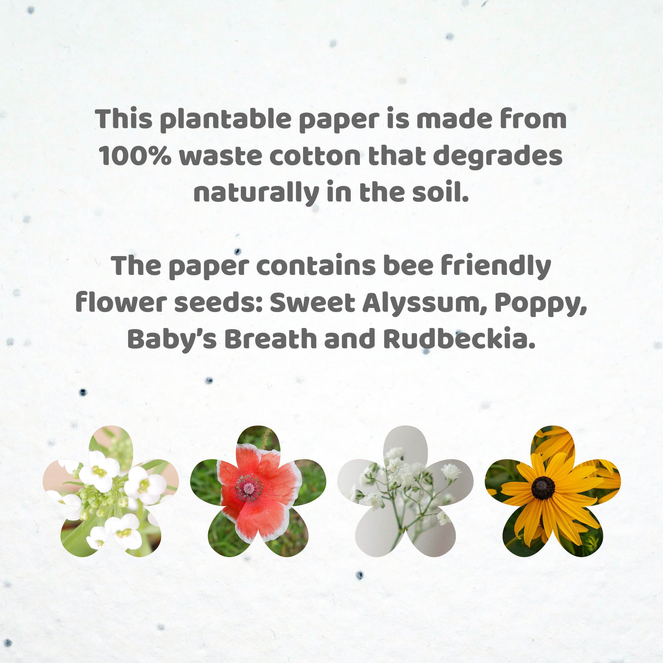 Plantable Rainbows Seeded Paper.jpg