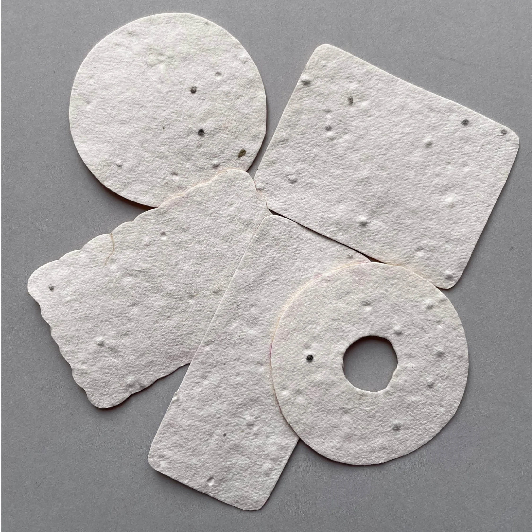 Plantable Biscuits.jpg