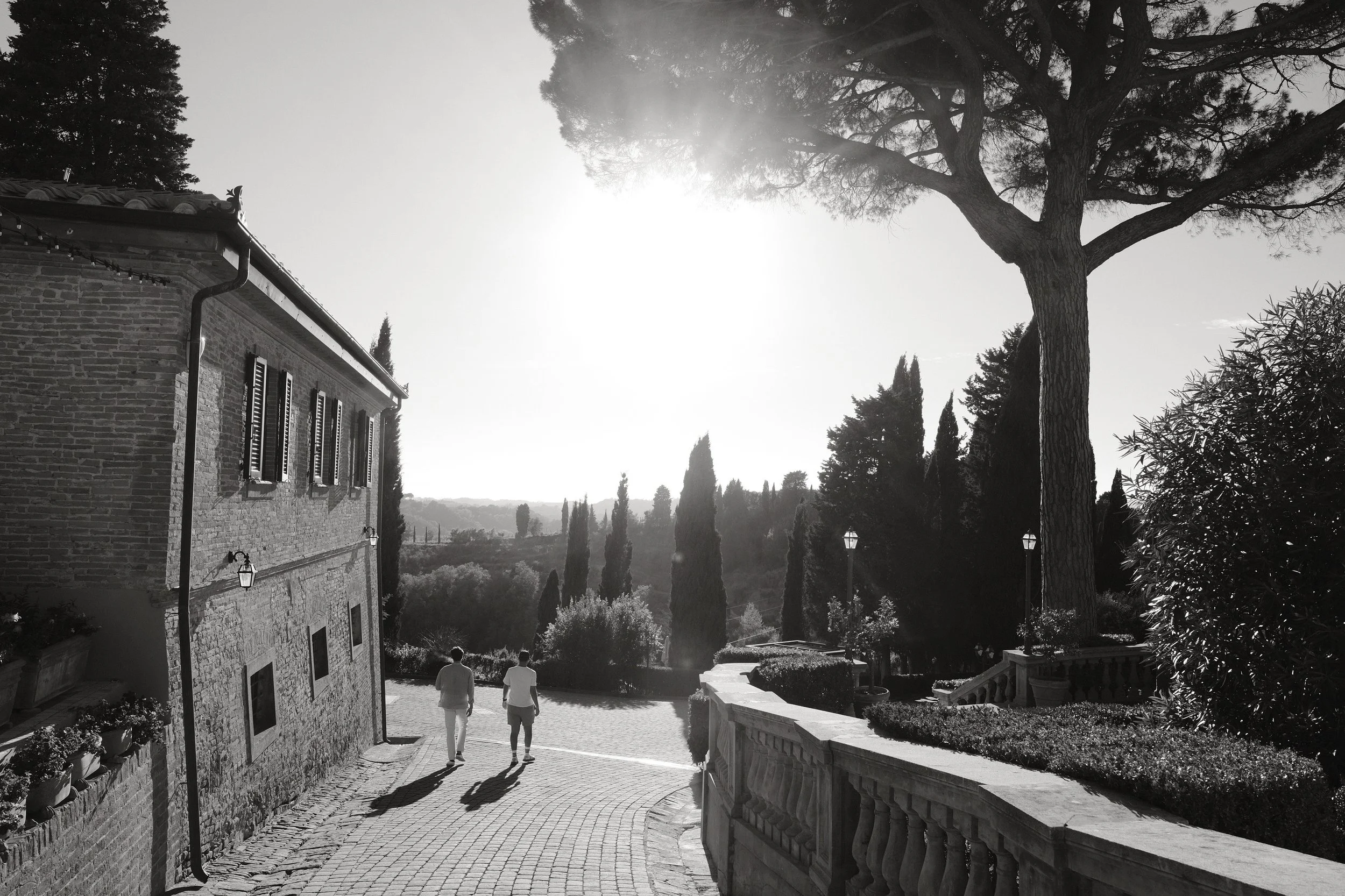 Tuscan countryside near Borgo Bucciano at sunset